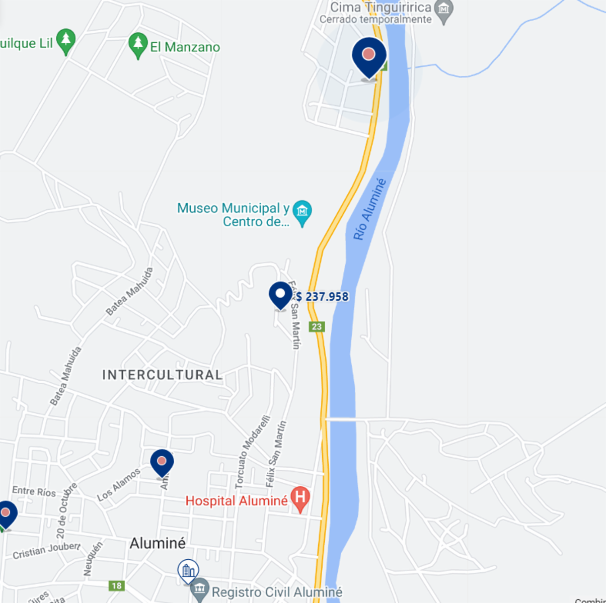 Ruta 23 · Aluminé — foto 30