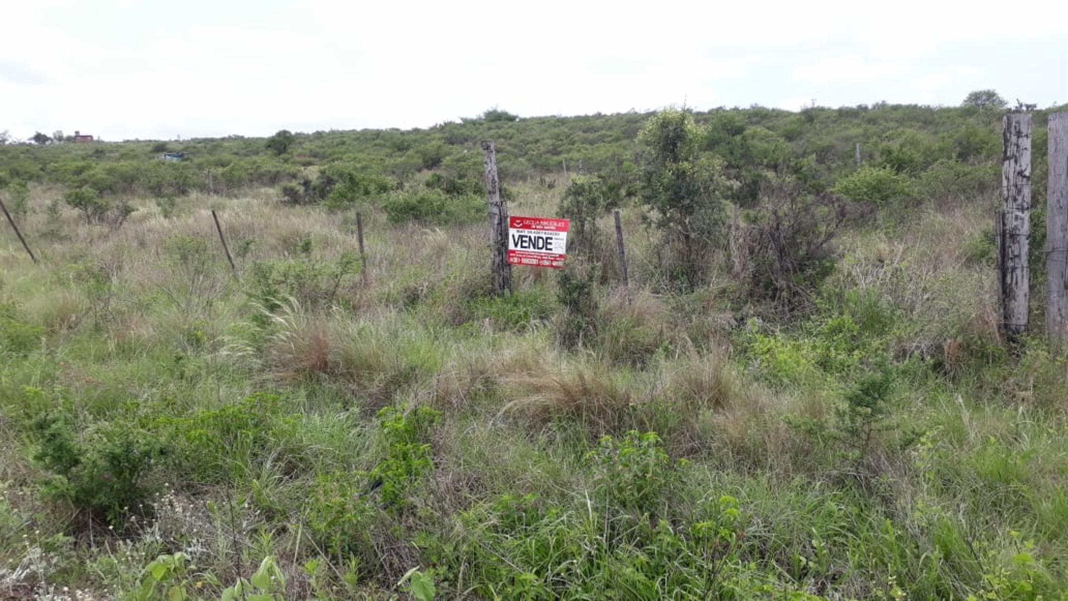 N°REF 1262-HERMOSO TERRENO PLANO EN BIALET MASSE CON VISTA A LAS SIERRAS.