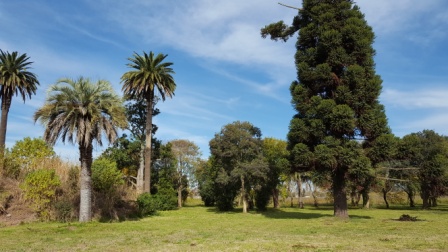 Saint Joseph L 026 · Almirante Brown — foto 3