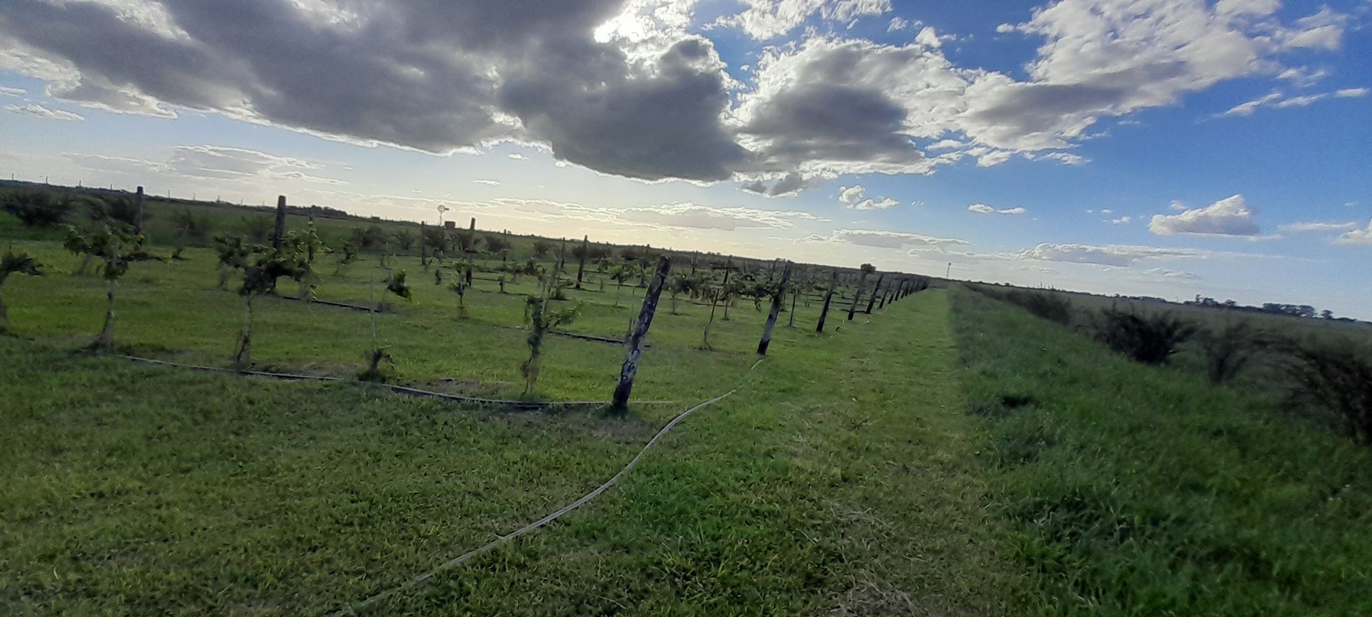 RUTA 58  Y CAPDEVILLA · San Vicente — foto 21