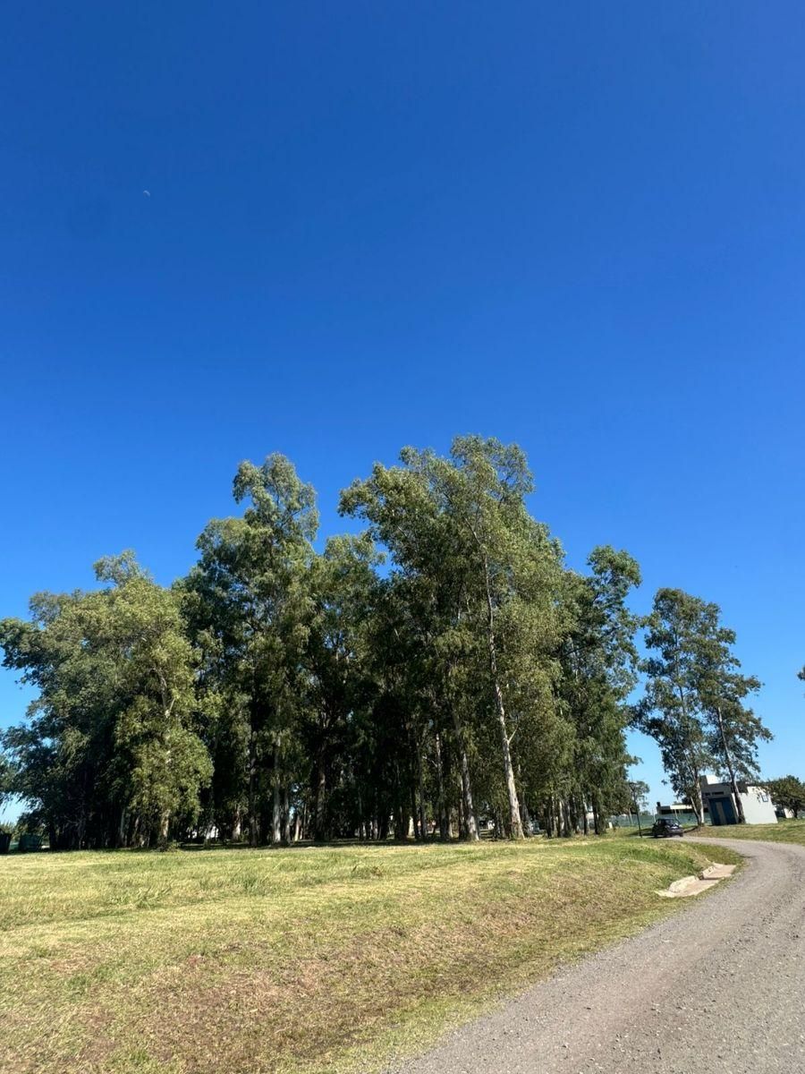 Se Vende Terreno en Barrio Cerrado La Reserva