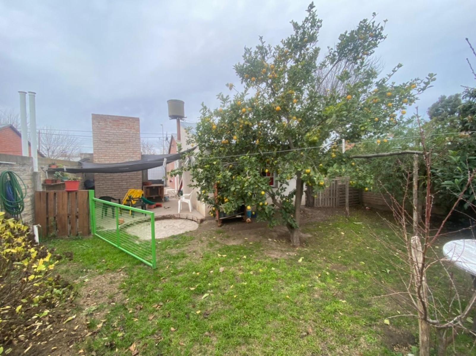 Churlaquin · Patagones — foto 8