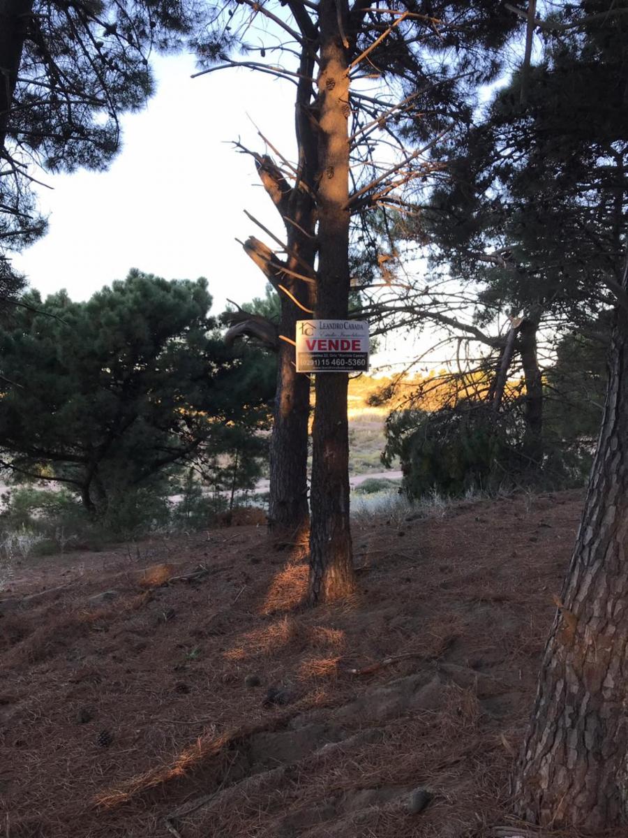 Bosque Alegre esquina El Tero · Monte Hermoso — foto 3