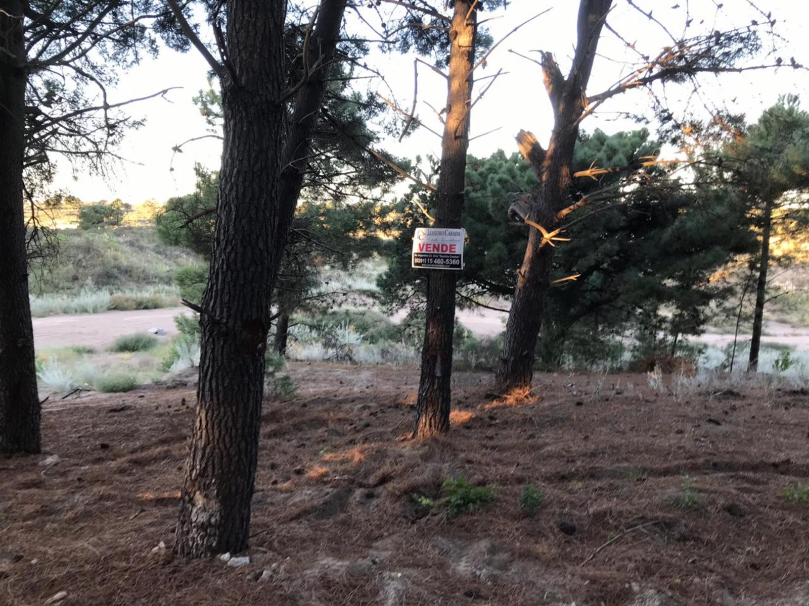 Bosque Alegre esquina El Tero · Monte Hermoso — foto 4