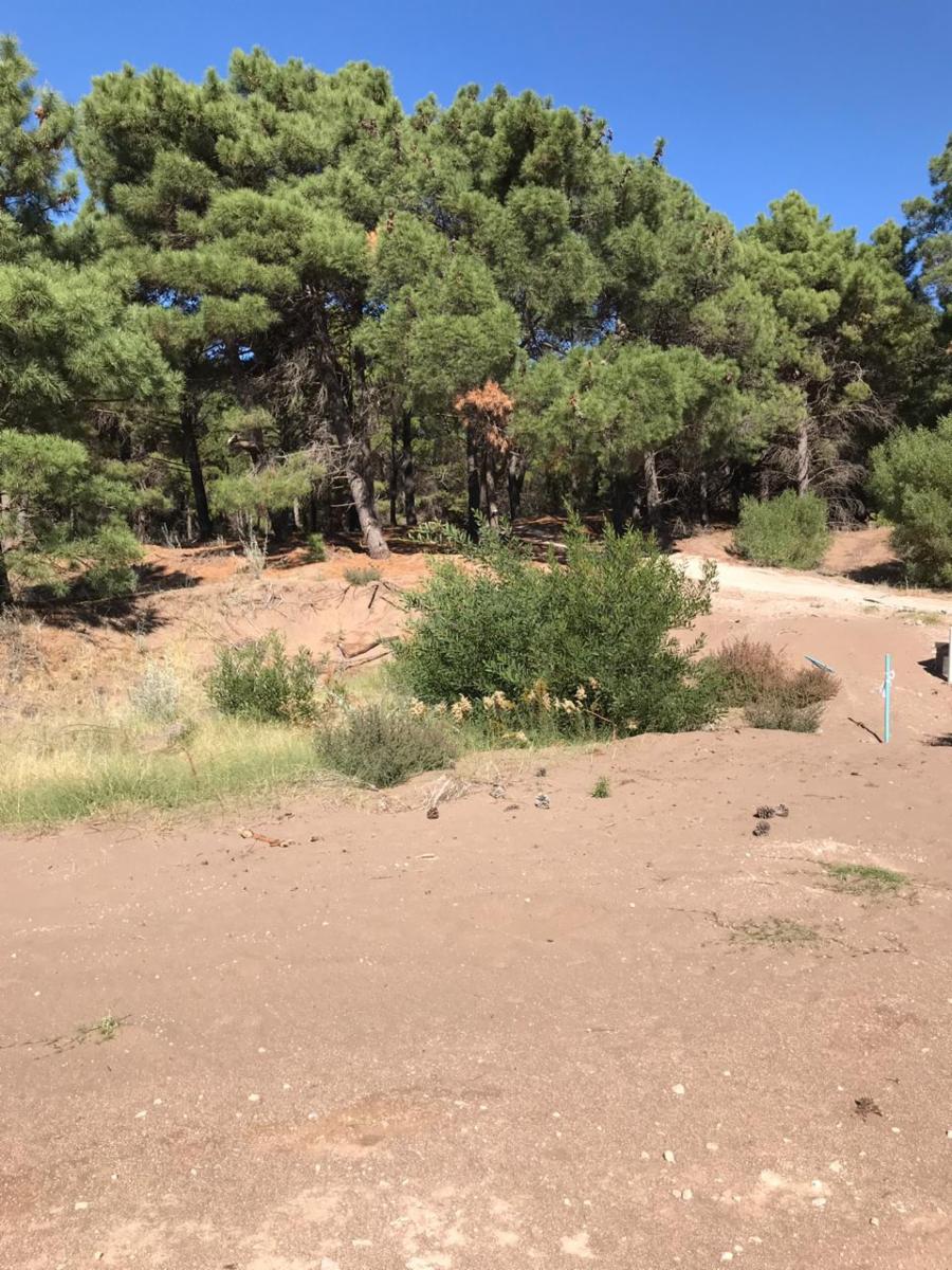 Bosque Alegre esquina El Tero · Monte Hermoso — foto 6