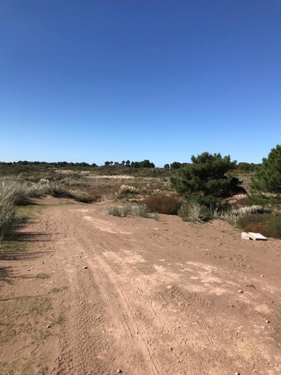 Bosque Alegre esquina El Tero · Monte Hermoso — foto 7