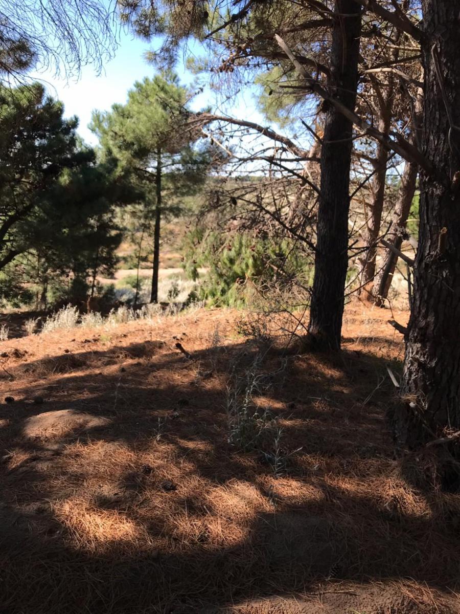 Bosque Alegre esquina El Tero · Monte Hermoso — foto 8