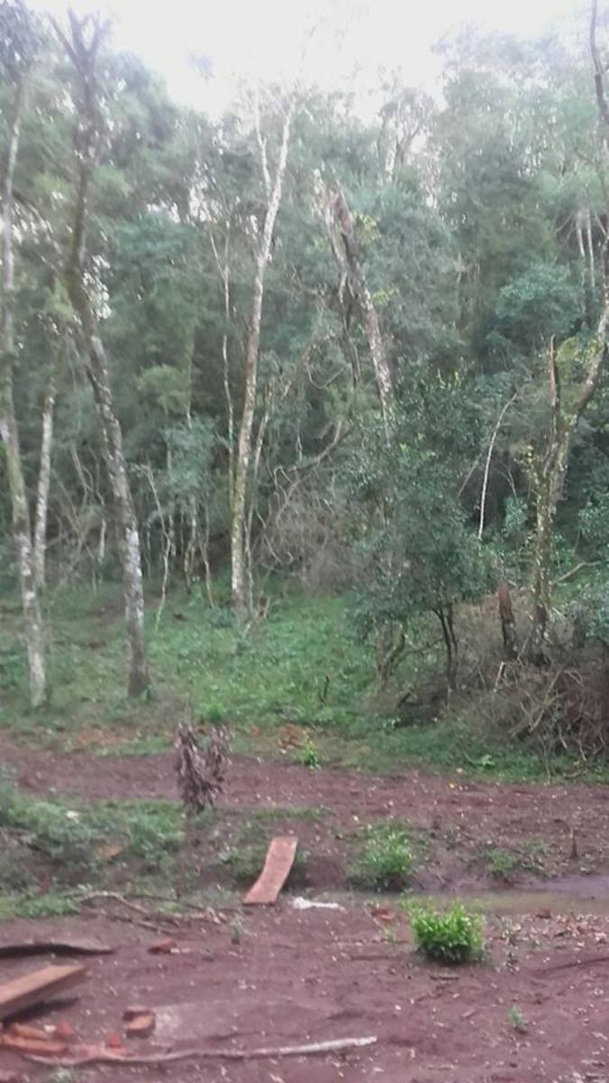 ***REMATO - CHACRA -PROPIEDAD. $ 650000
