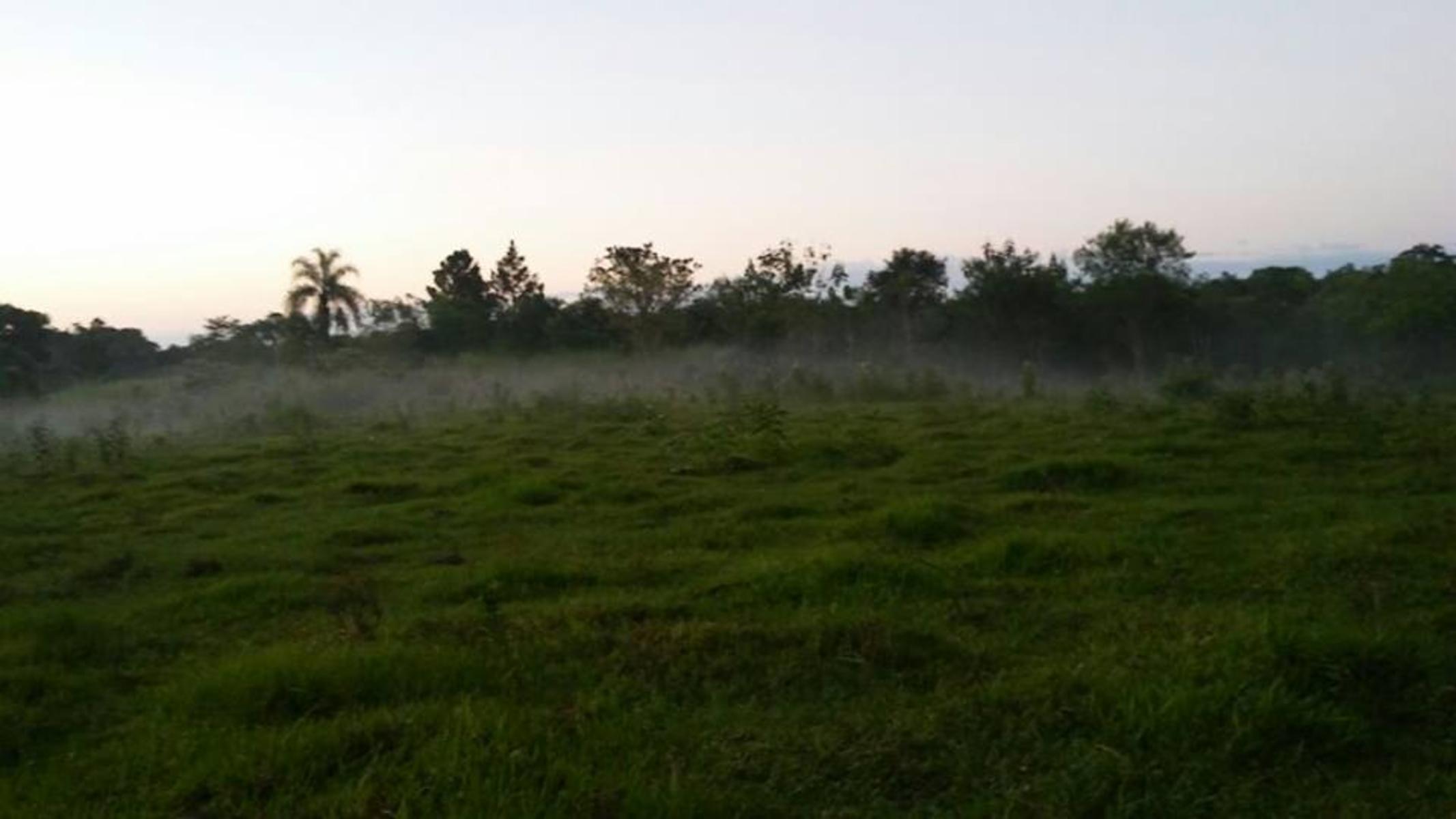 Colonia Cerro Cora ***REMATO - CHACRA -PROPIEDAD. $ 650000 $650.000 · Leandro N. Alem — foto 5