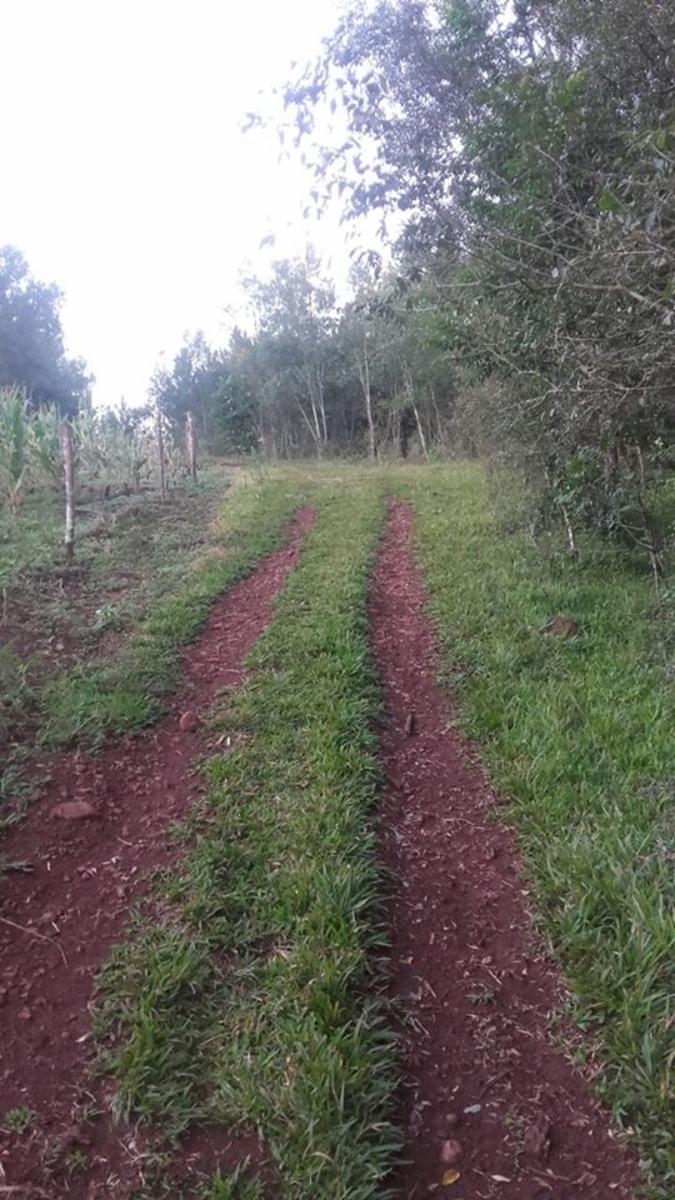 Colonia Cerro Cora ***REMATO - CHACRA -PROPIEDAD. $ 650000 $650.000 · Leandro N. Alem — foto 9