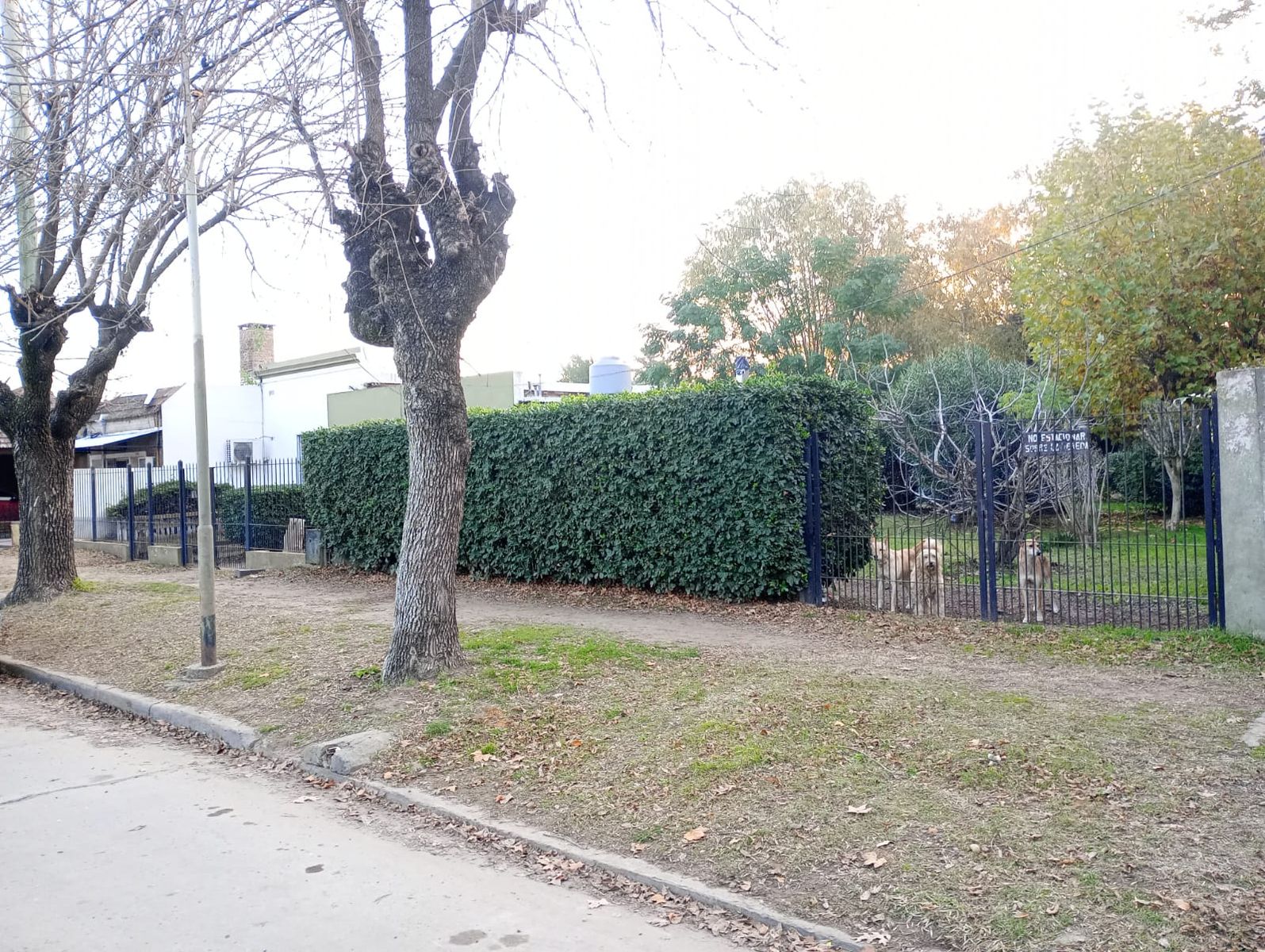 Lozano 1341 · General Las Heras — foto 3