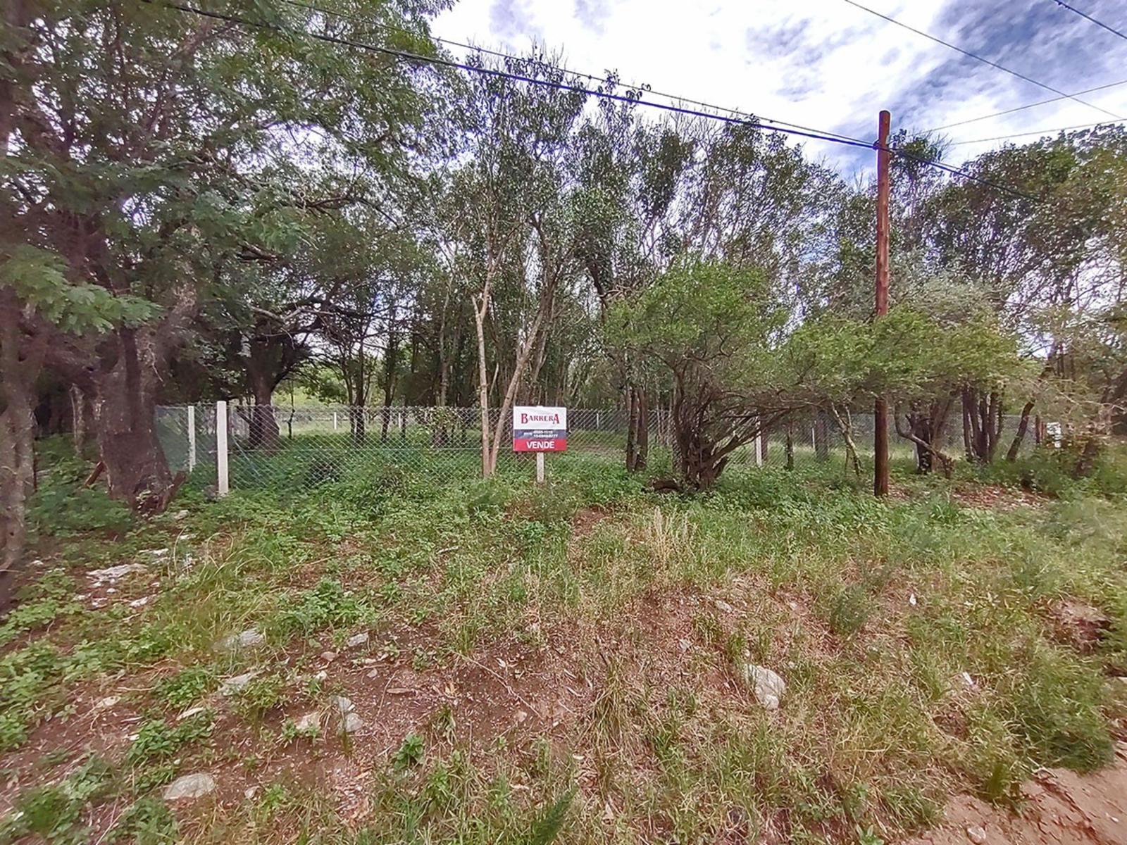 OROZCO AMETROS DE PEDRO MORAN · Junín — foto 3