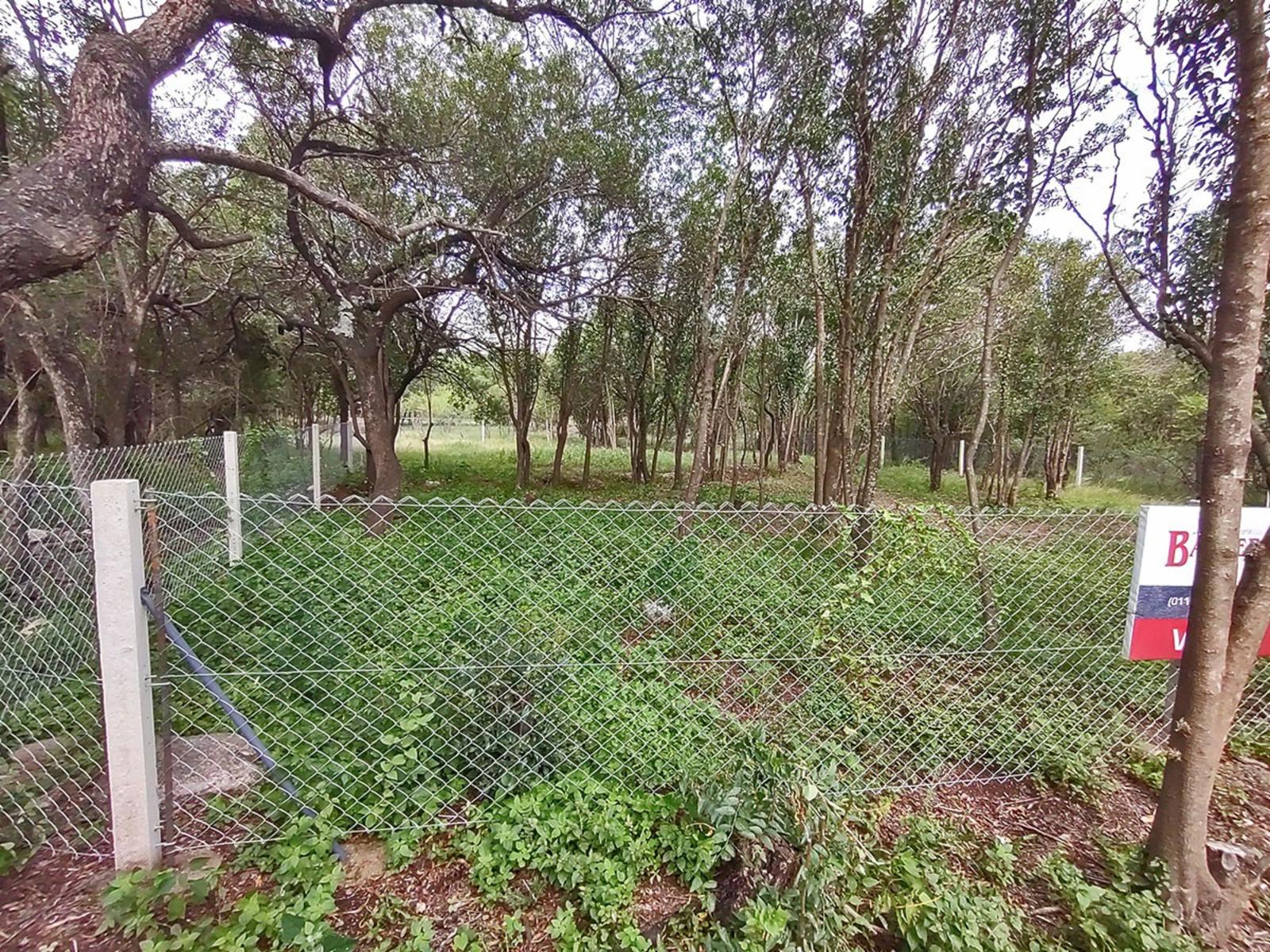 OROZCO AMETROS DE PEDRO MORAN · Junín — foto 4
