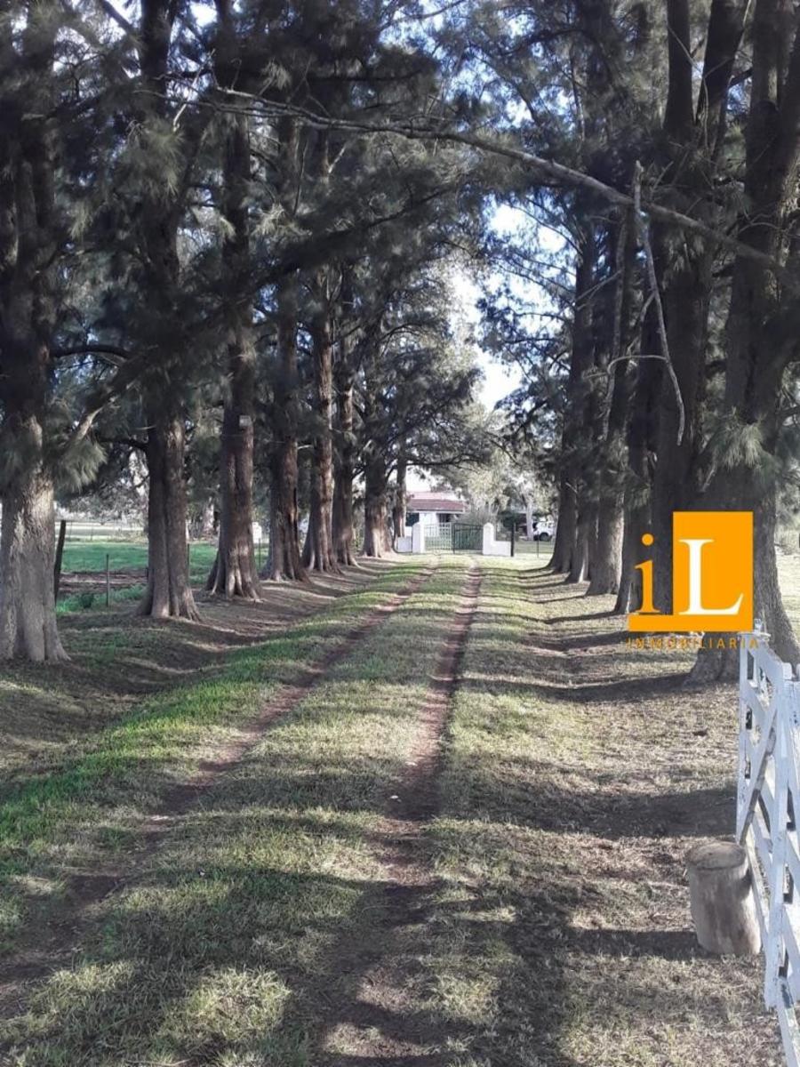 Ruta 215 · General Paz — foto 8