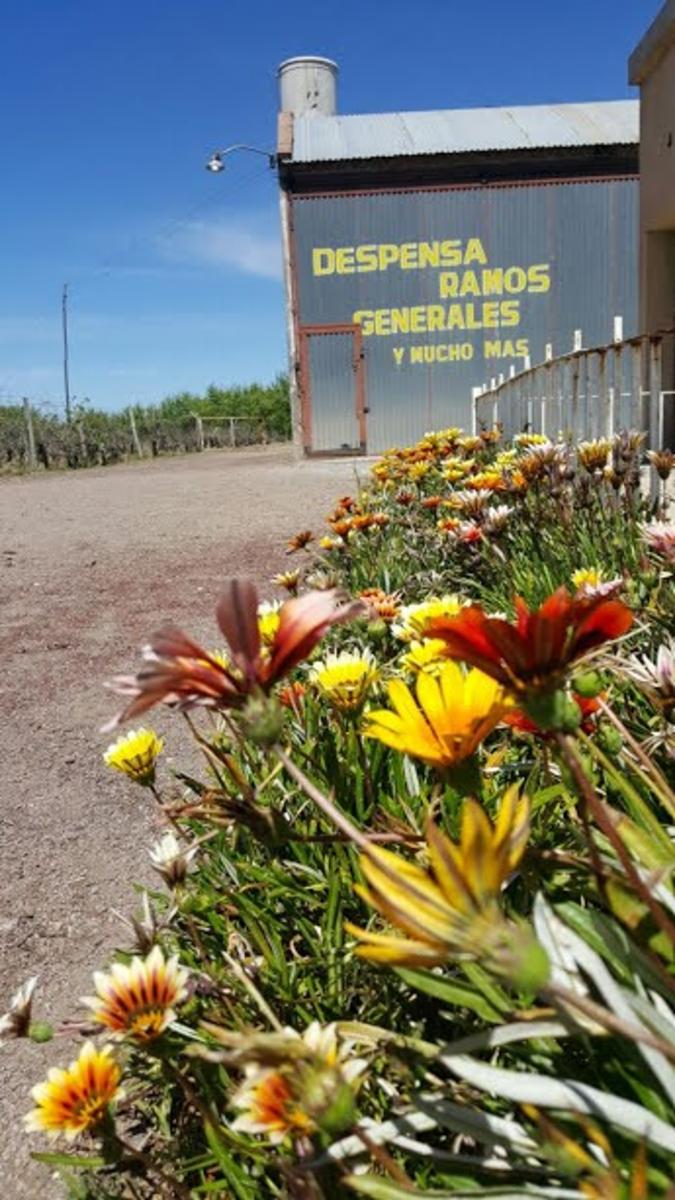 Ruta Provincial 200 Jaime Prats · San Rafael — foto 4