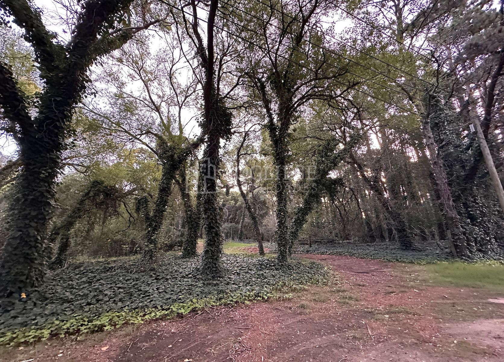 Paseo 101 · Villa Gesell — foto 3