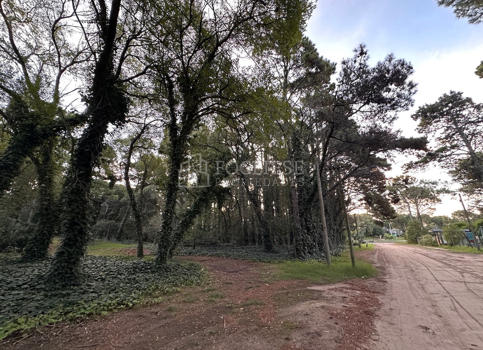 Paseo 101 · Villa Gesell — foto 4