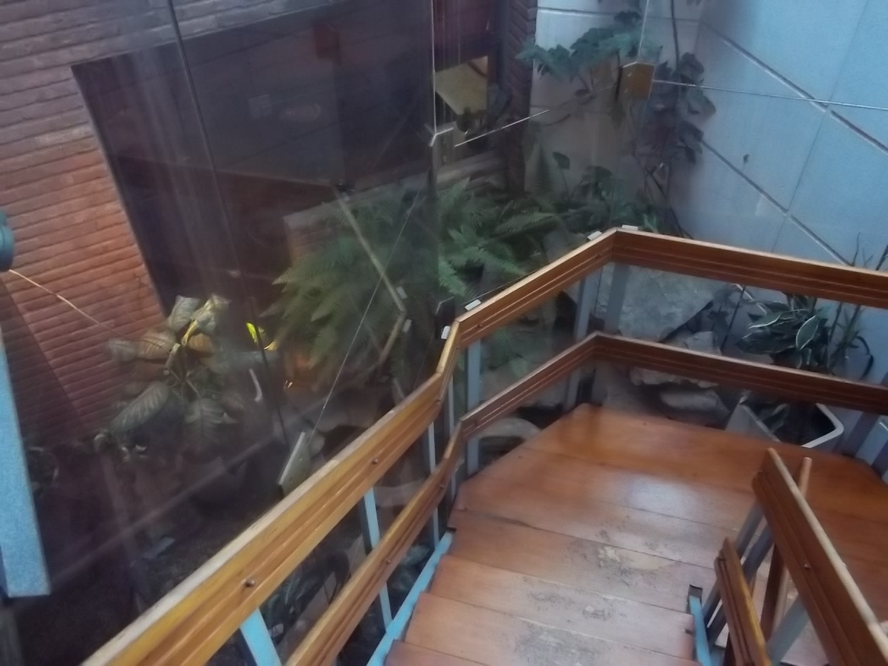 RICARDO GUTIERREZ 600 · La Matanza — foto 16