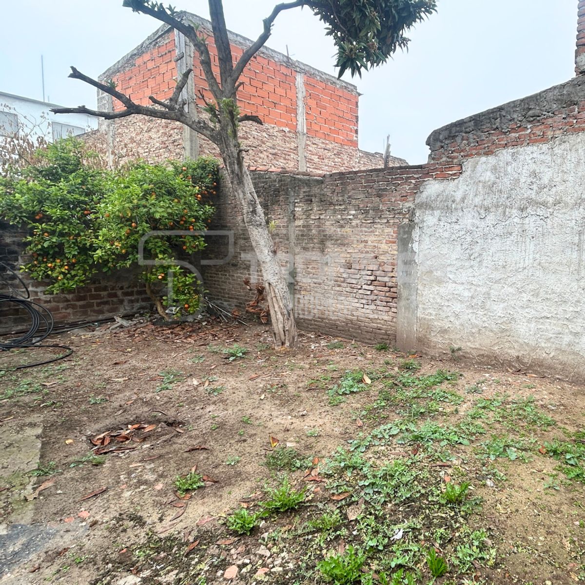 angela gonzalez de barbier 375 · Esteban Echeverría — foto 13
