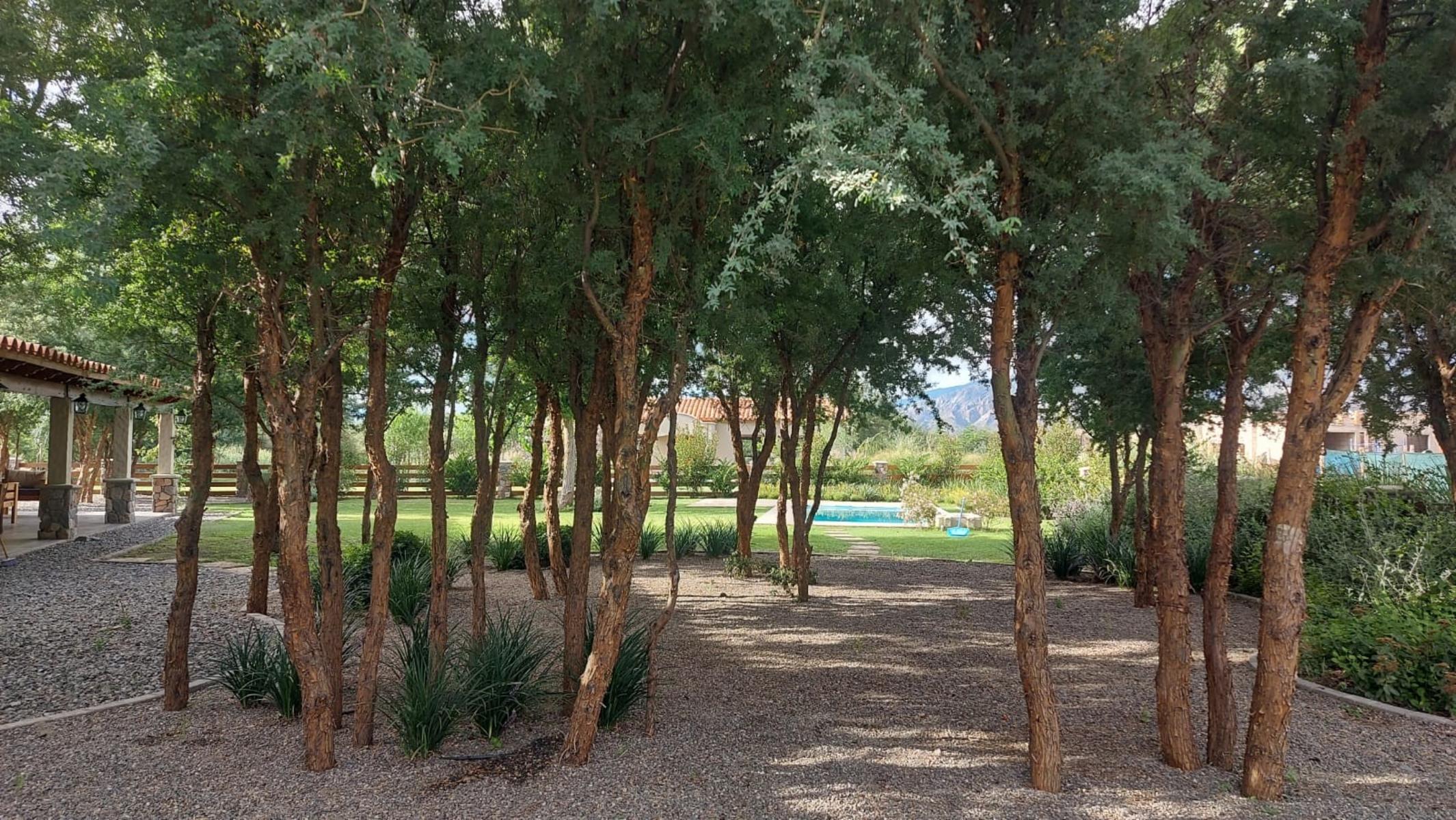 ESTANCIA GOTTLING · Cafayate — foto 3