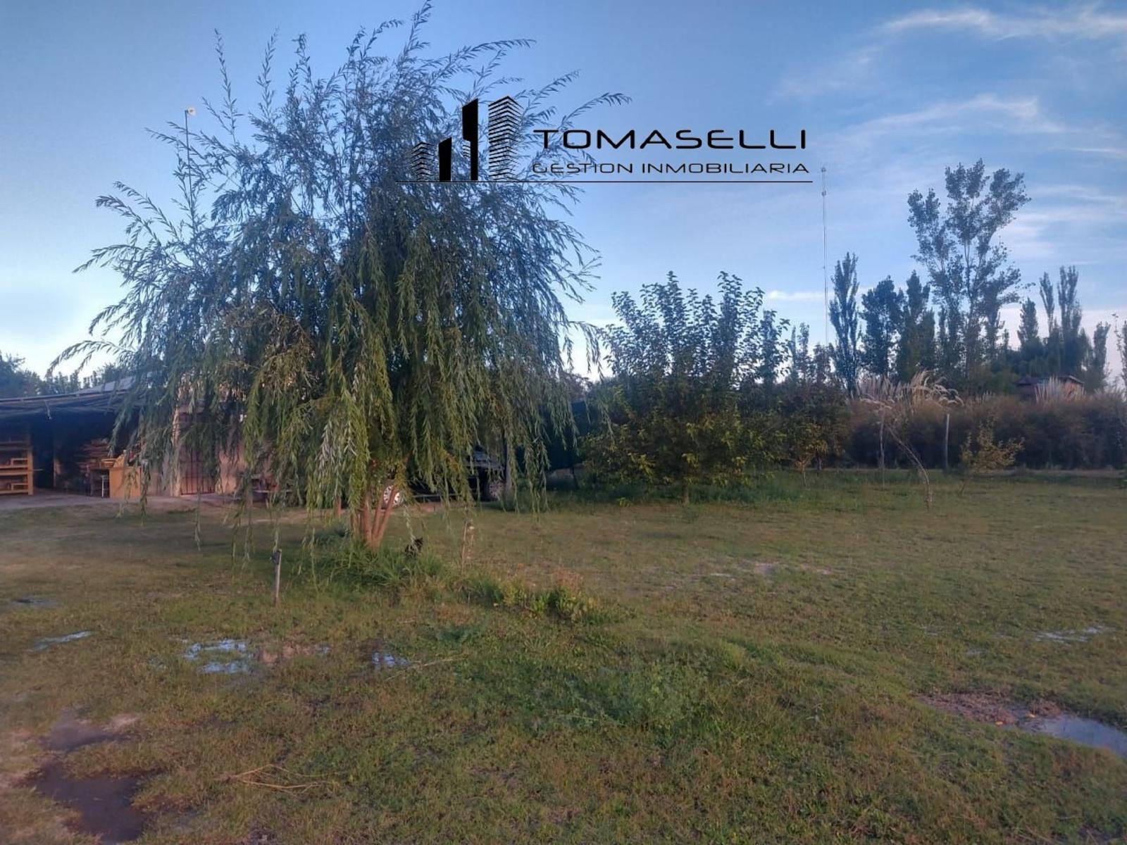SANTA TERESA · La Matanza — foto 13
