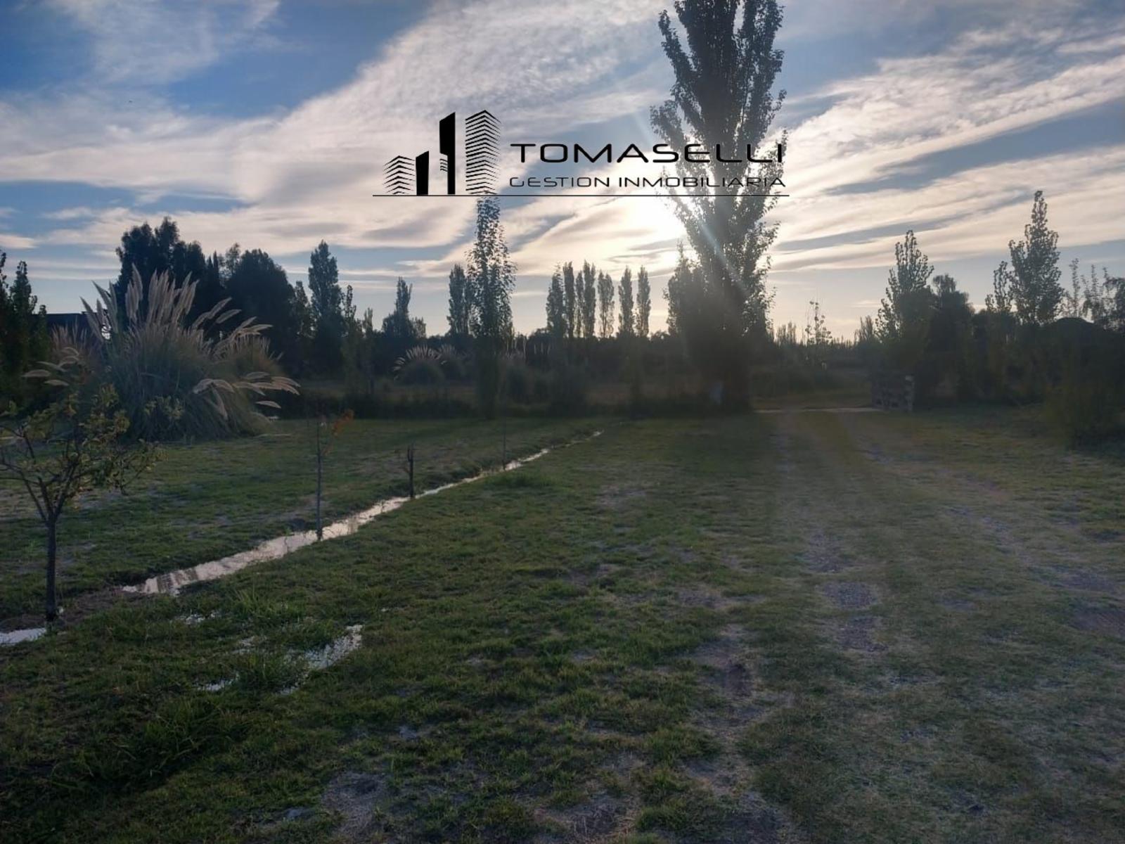 SANTA TERESA · La Matanza — foto 4