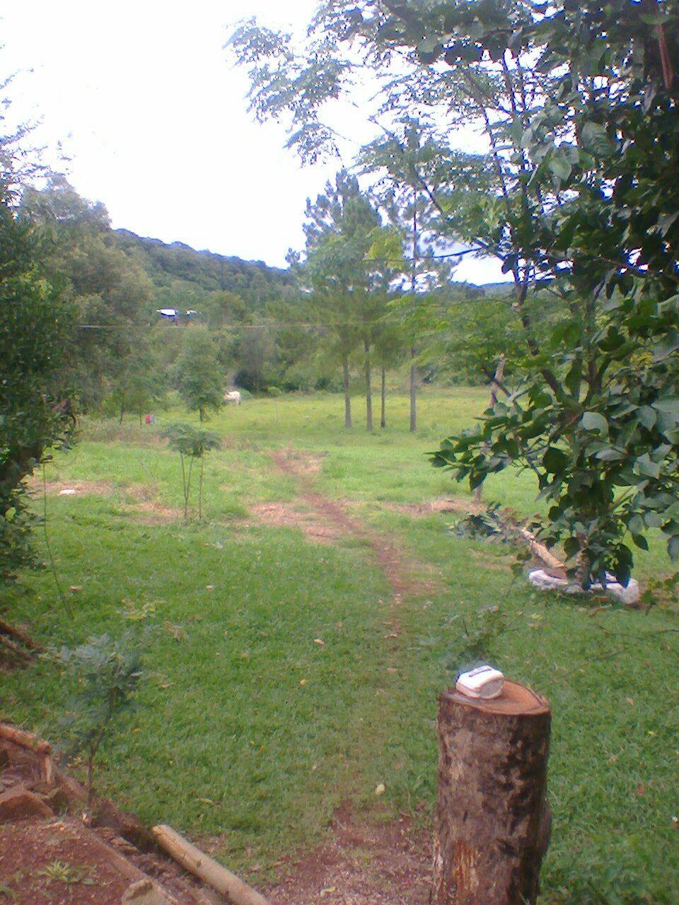 entre Alem y San Javier · Leandro N. Alem — foto 4
