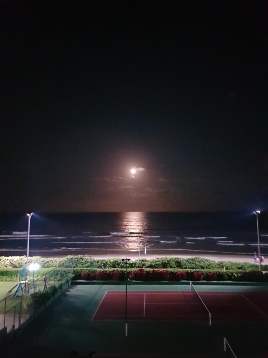 Praia Brava - Florianópolis · Microcentro — foto 30