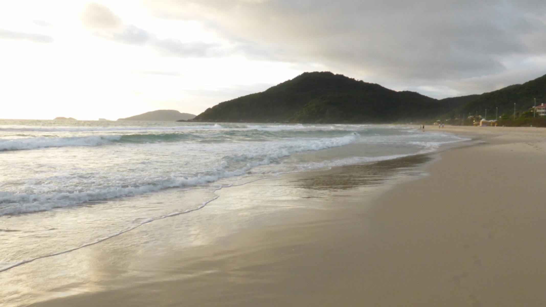 Praia Brava - Florianópolis · Microcentro — foto 31