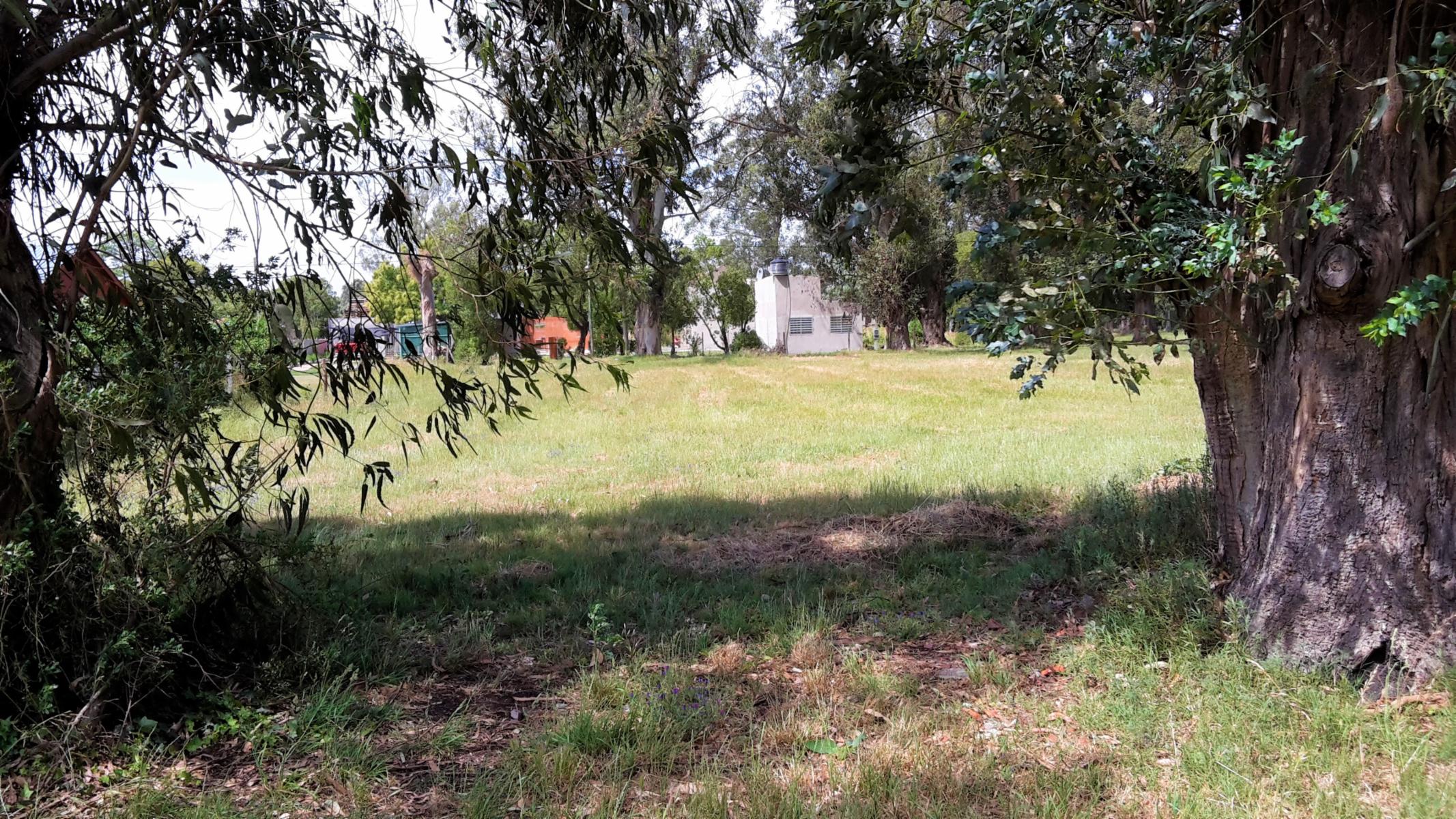 Balcarce - Miramar · General Alvarado — foto 4