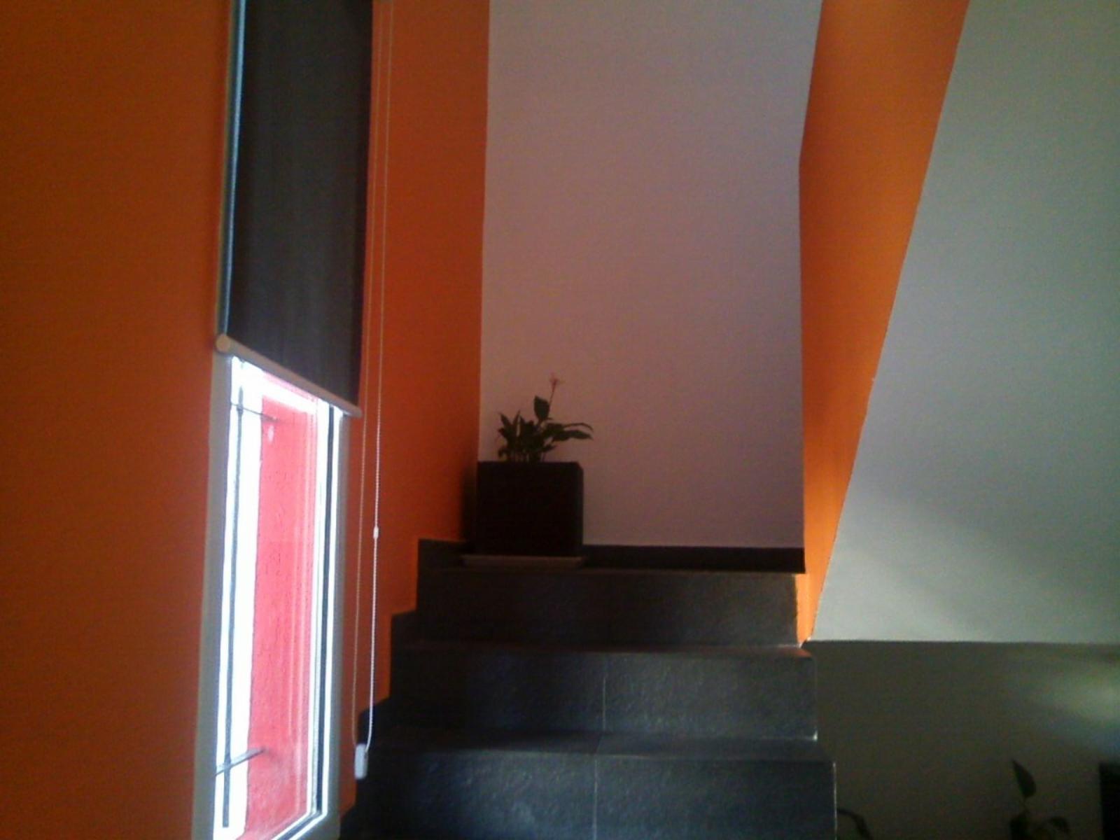 SAN LORENZO · San Martín — foto 3