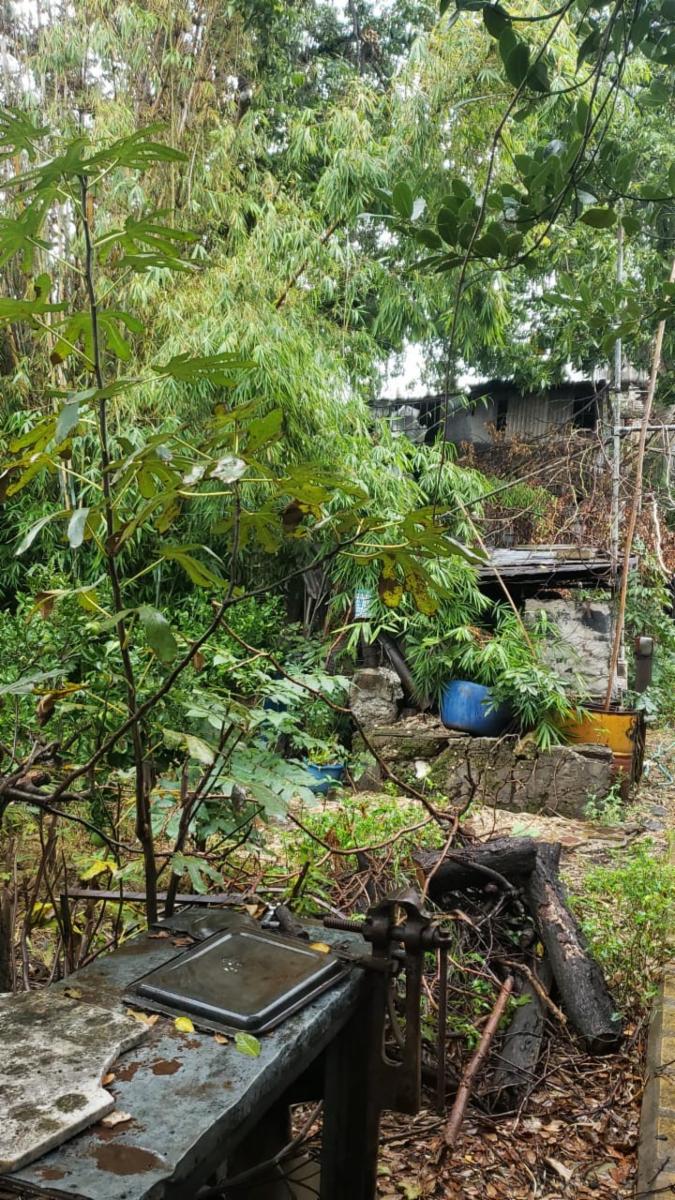 CERRITO 2800 · La Matanza — foto 14