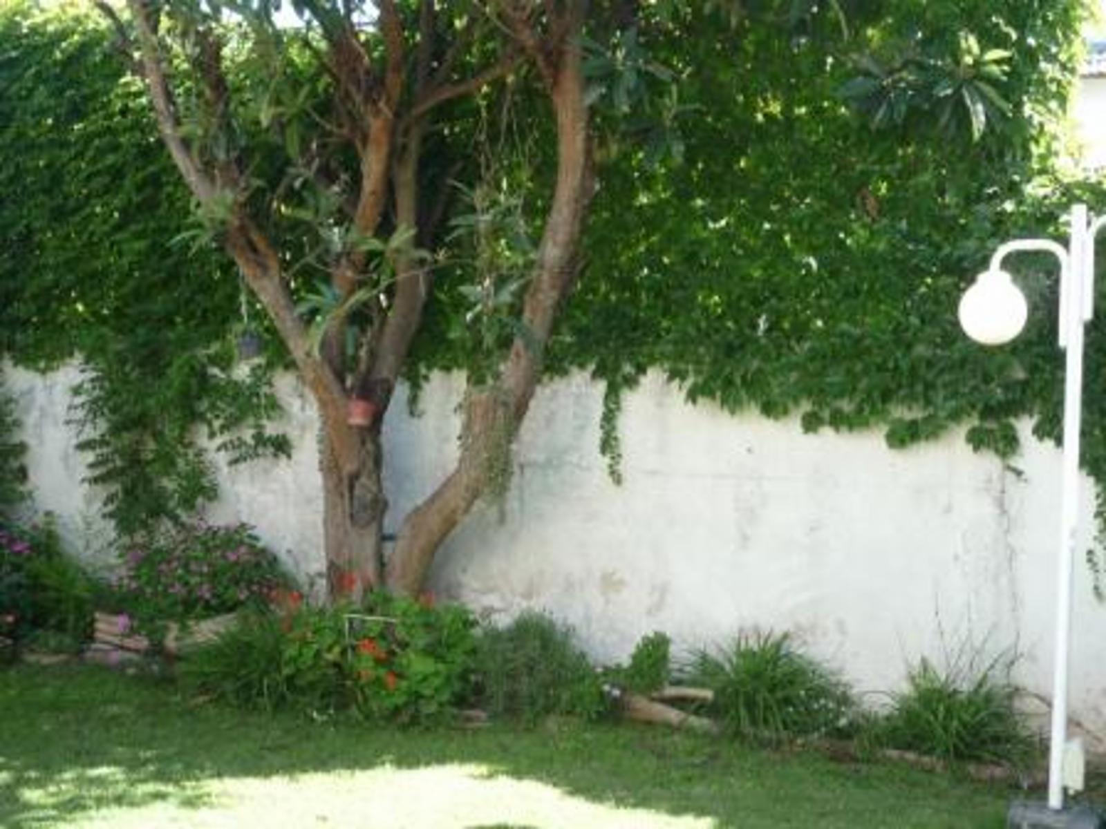 ALBERTO WILLIAMS 2400 · Hurlingham — foto 14
