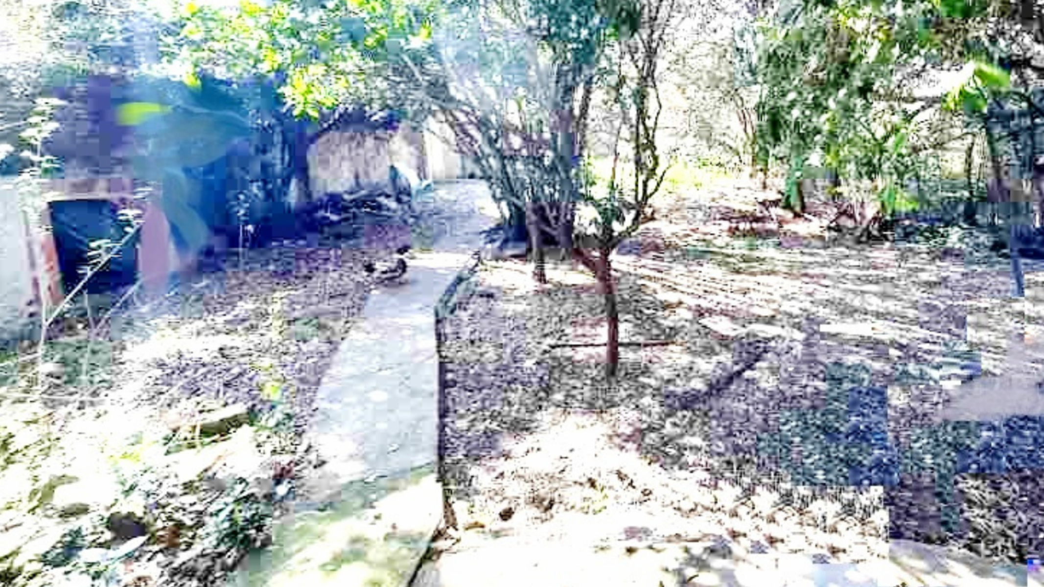 Cnel. Martín P. de Lacarra 3138 · Morón — foto 4