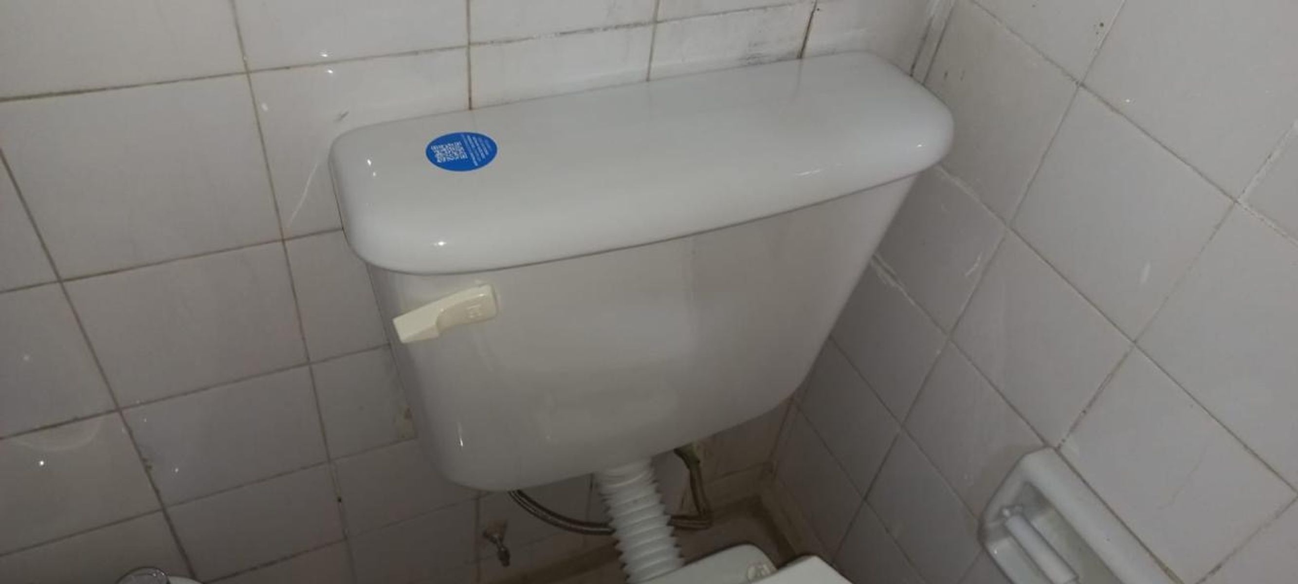 Avenida Wernicke Nro 2800 · Tres De Febrero — foto 11