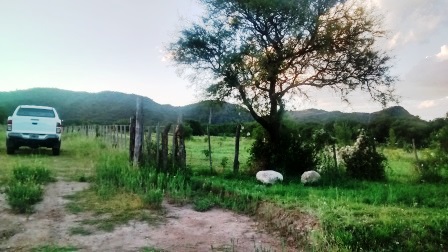 Ruta 9 · Ayacucho — foto 11