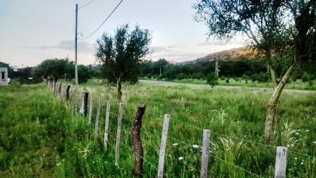 Ruta 9 · Ayacucho — foto 22