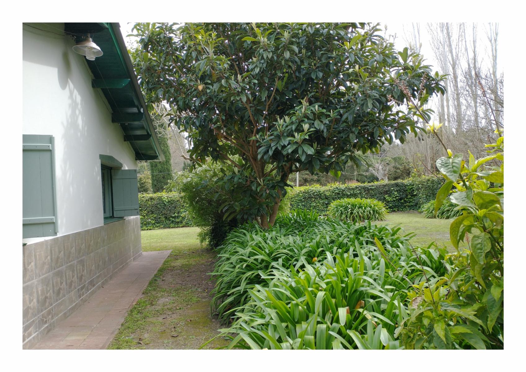 Avenida Tupac Amaru · Punta Indio — foto 5