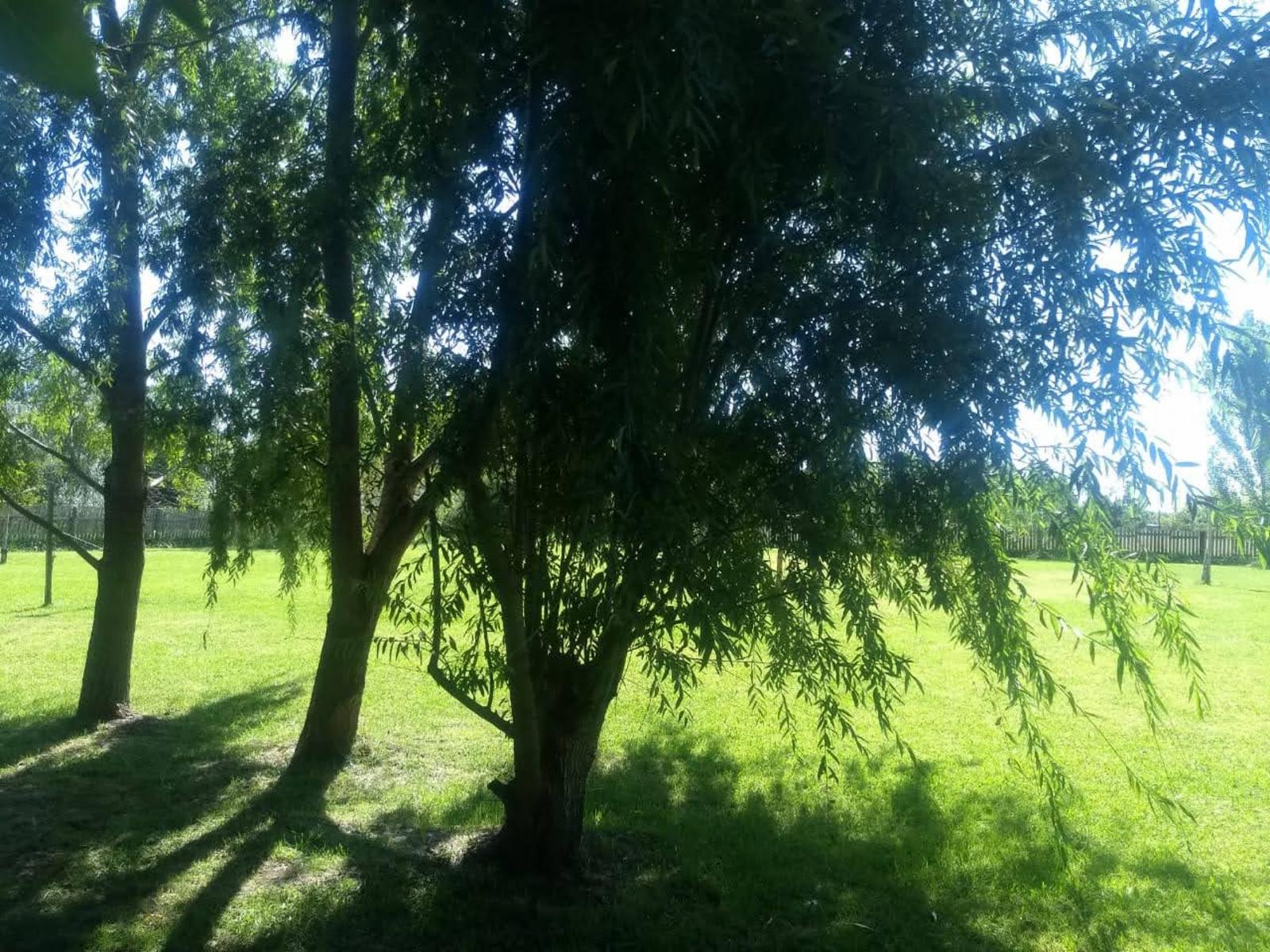 Los Sauces · General Las Heras — foto 13