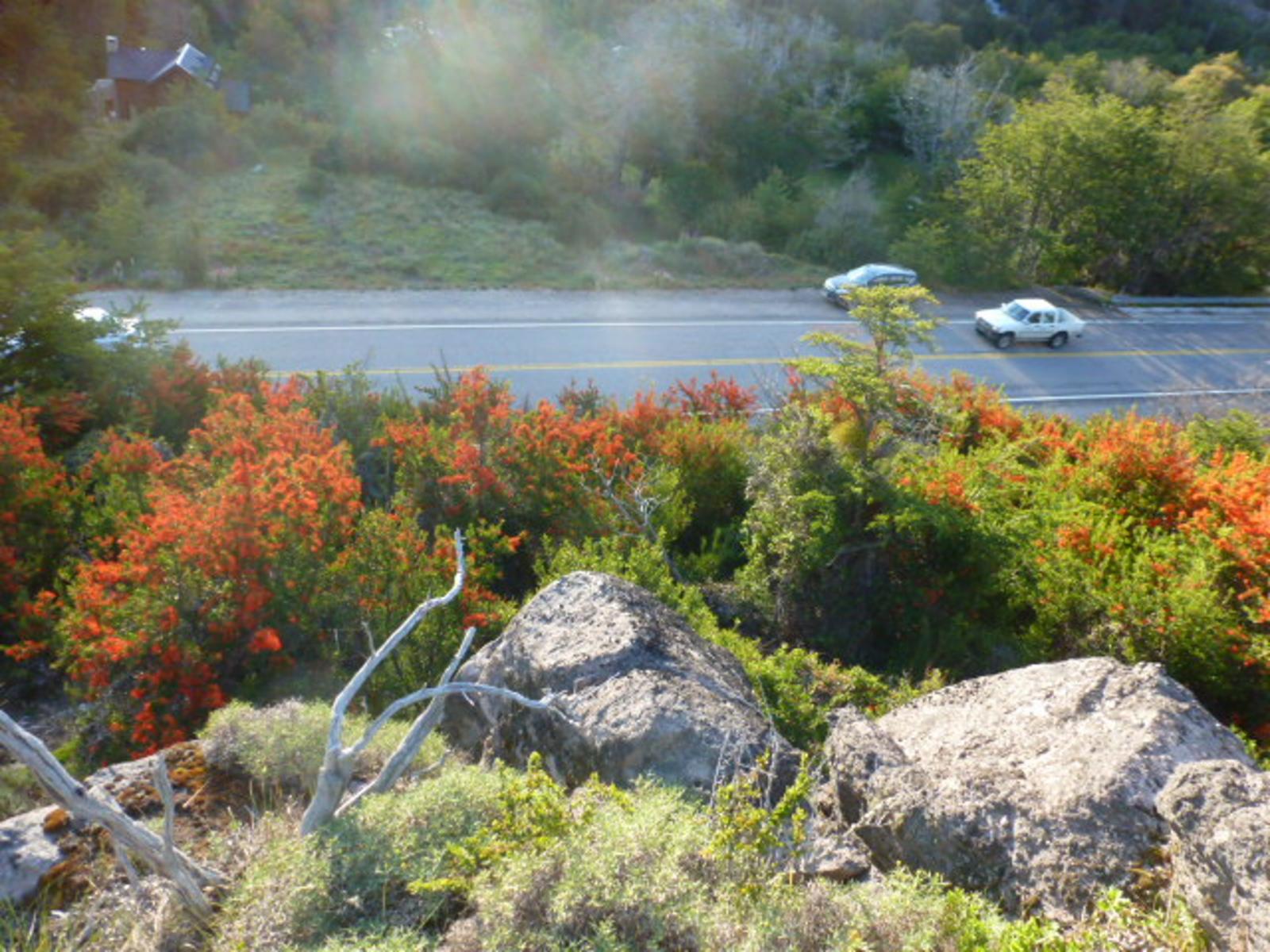 Ruta 40 km 2357 · Lacar — foto 3