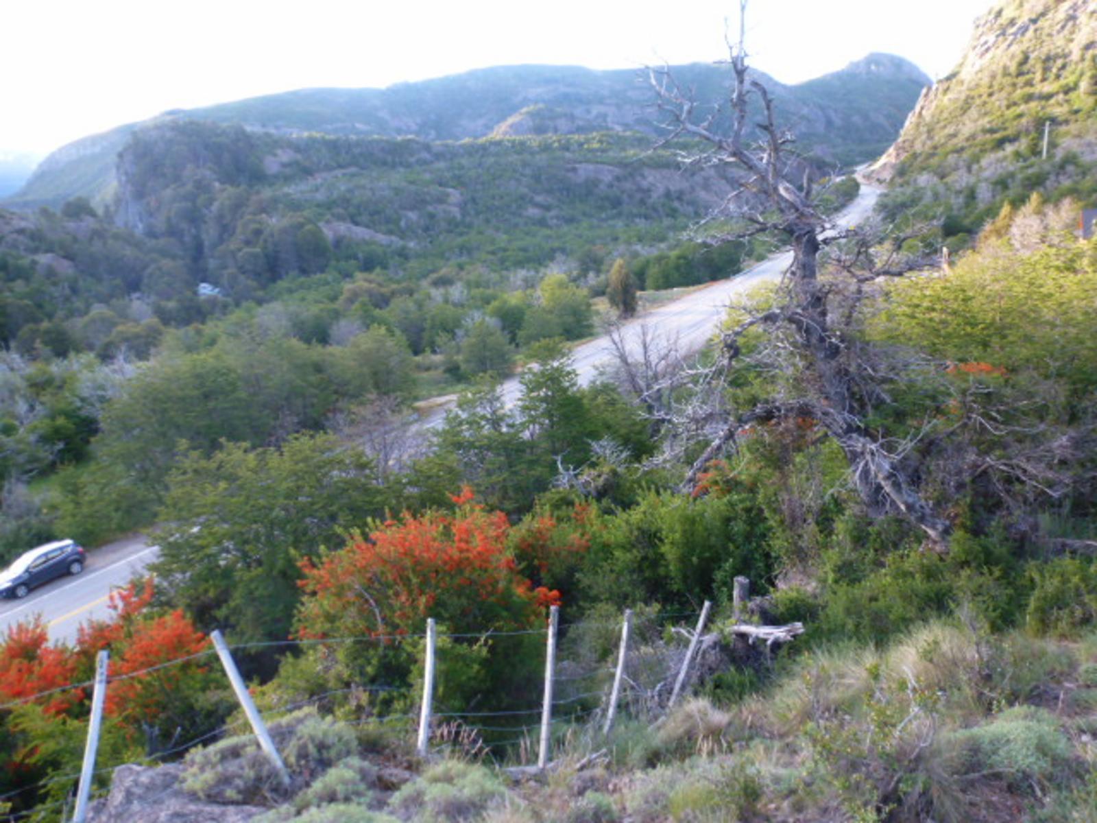 Ruta 40 km 2357 · Lacar — foto 4