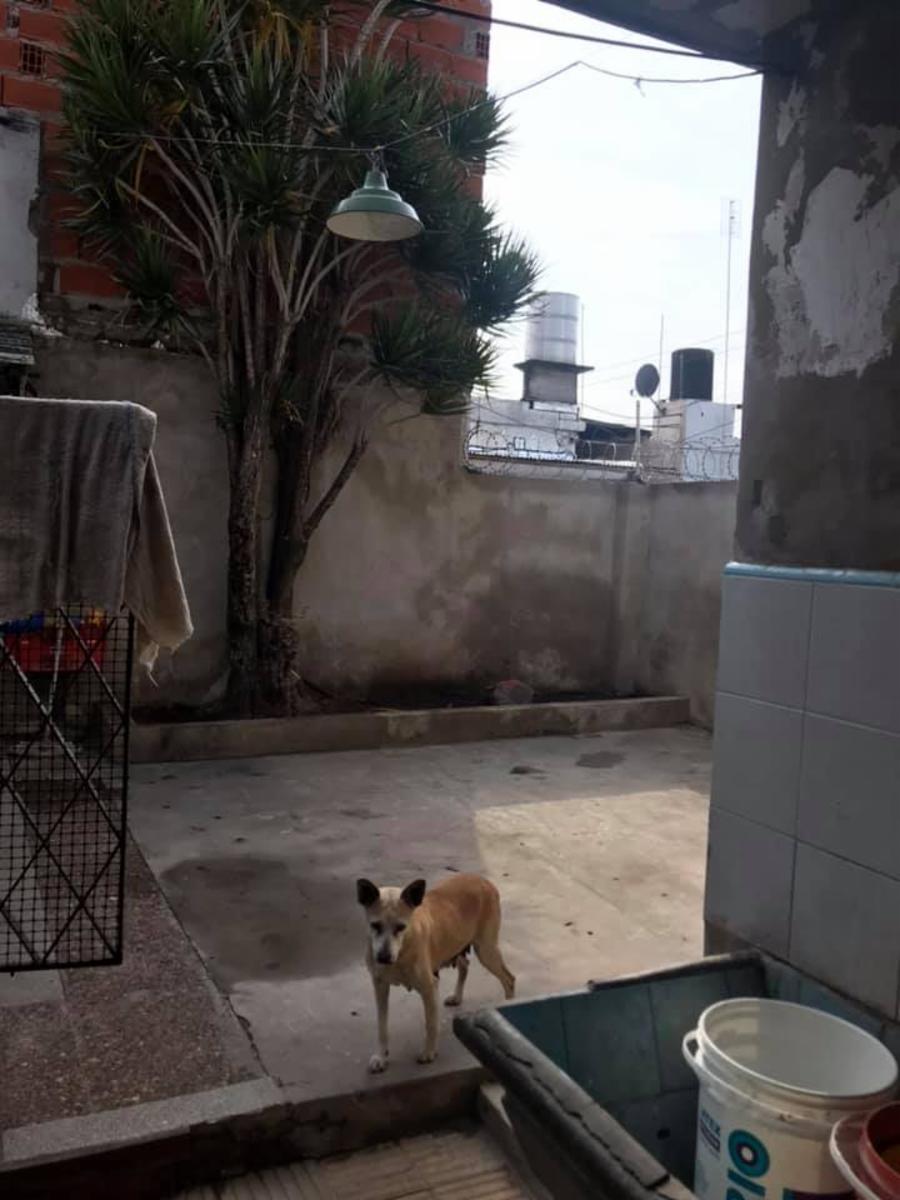 gascon y estrada · San Martín — foto 9