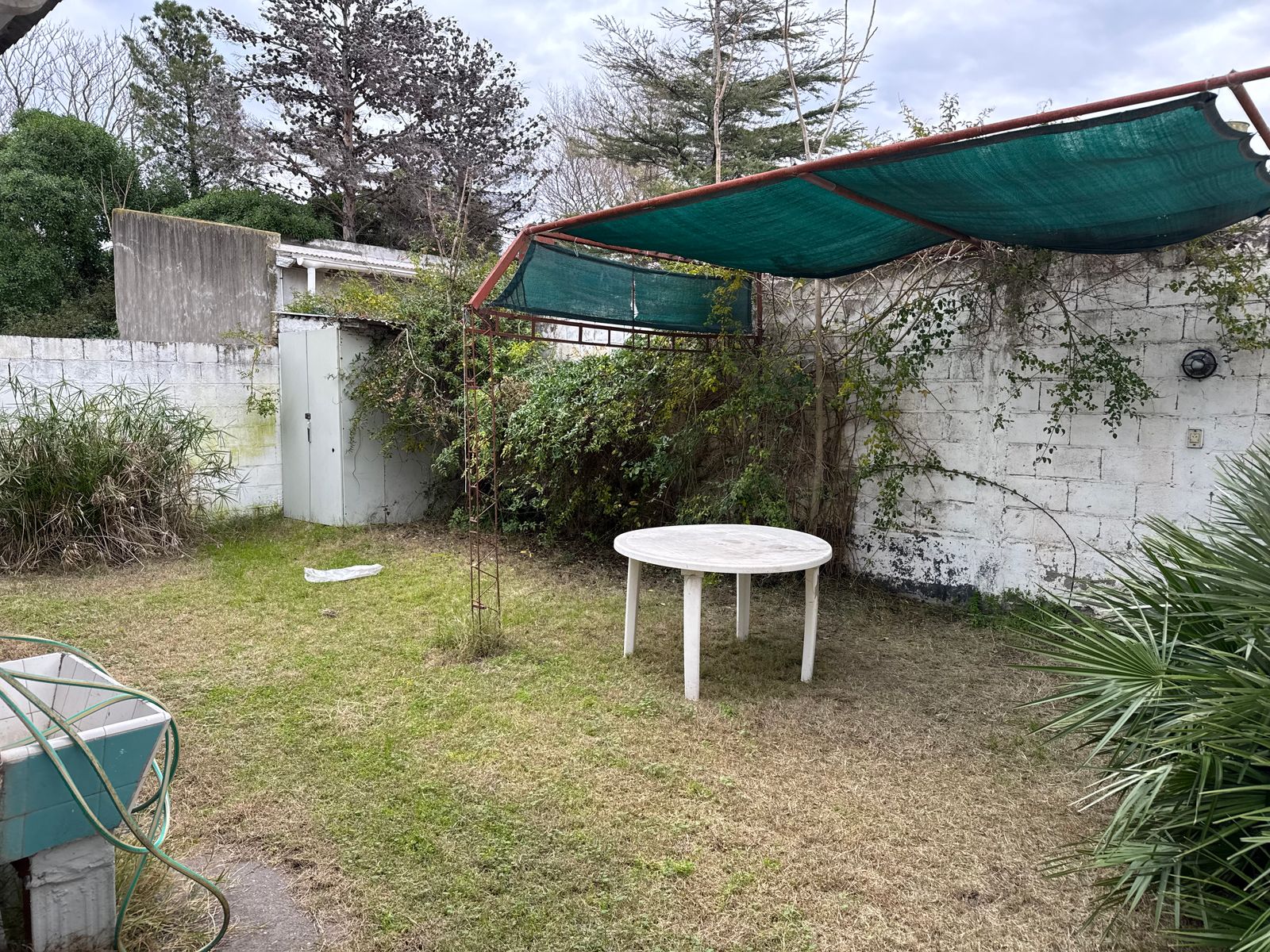 Lucinda Sutton 531 · Monte Hermoso — foto 15