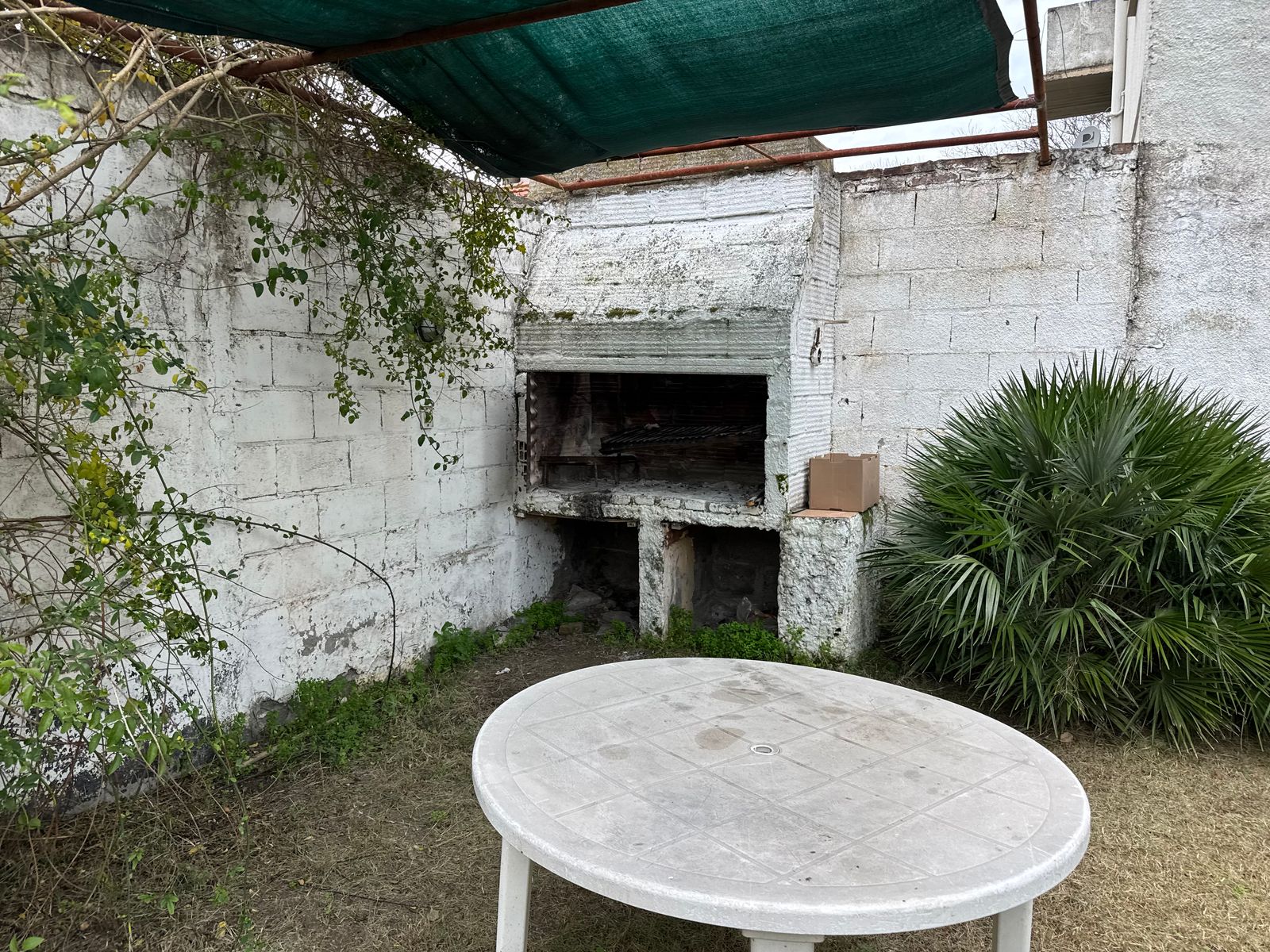Lucinda Sutton 531 · Monte Hermoso — foto 16