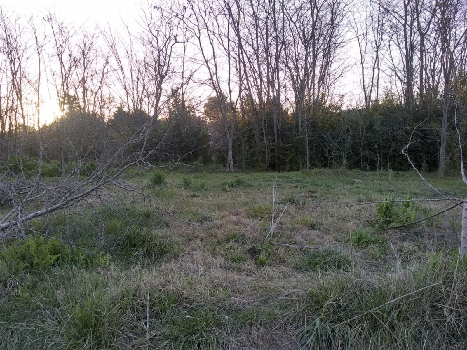 Estrada · General Las Heras — foto 3