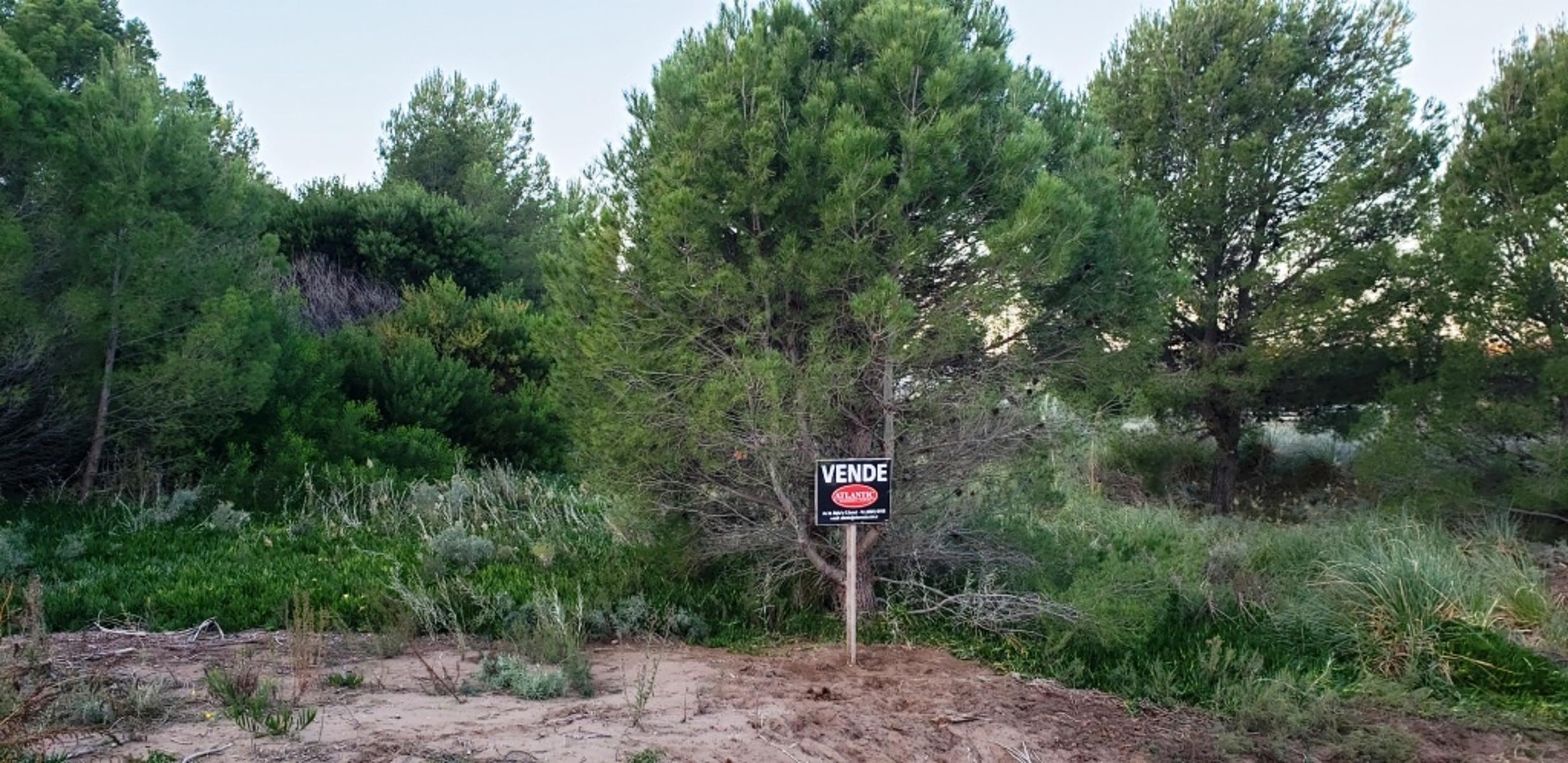 Terreno en venta en Sauce Grande
