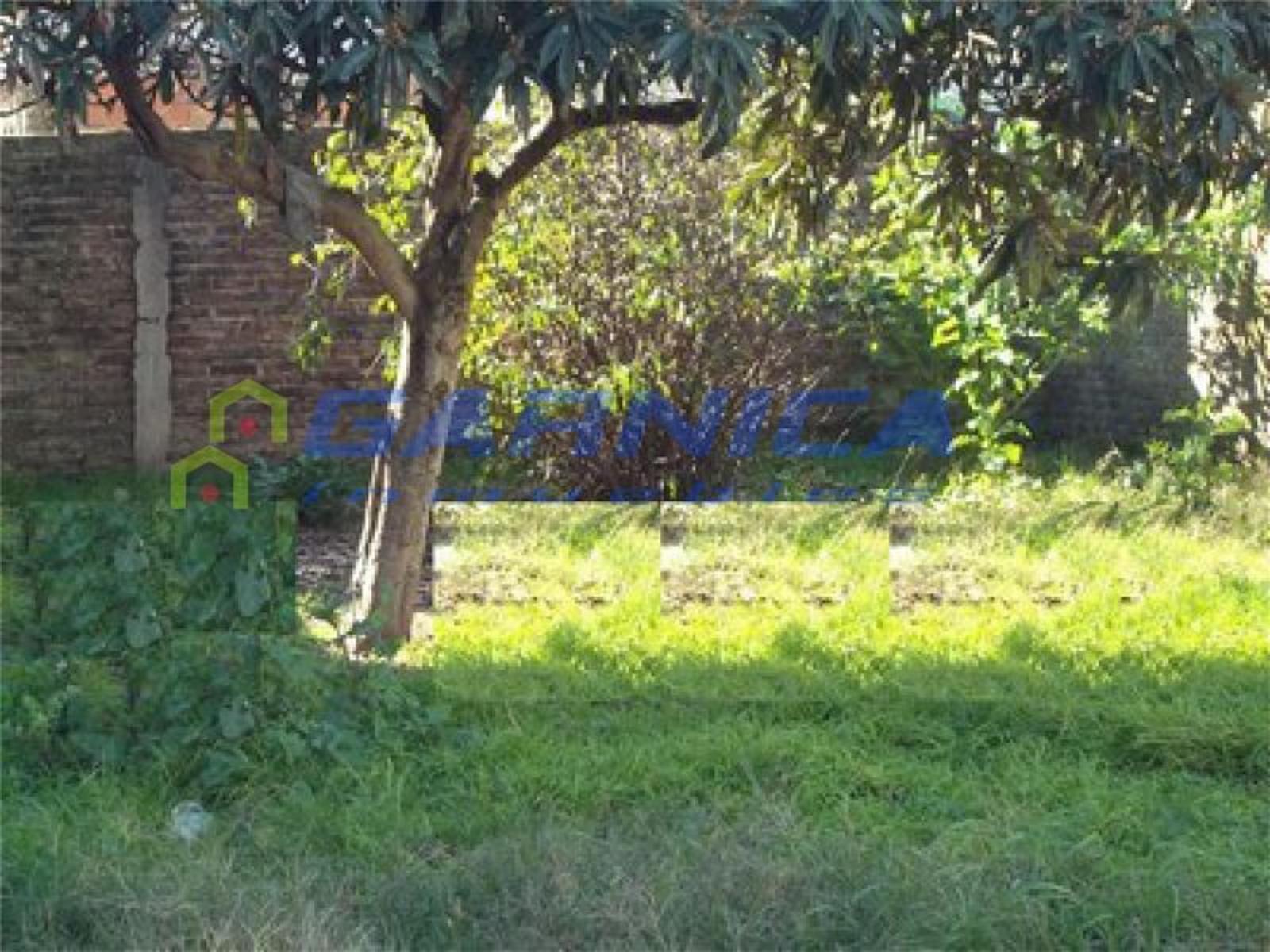 Ripamonti 3729 · Ituzaingó — foto 4