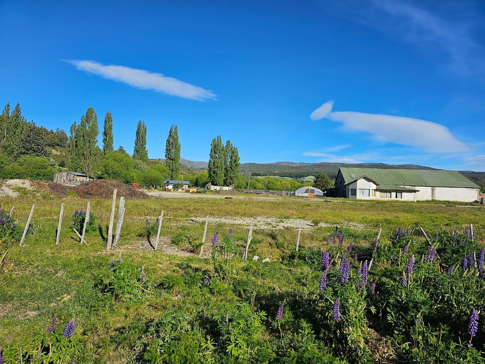 TERRENO EN CHOLILA, CHUBUT
