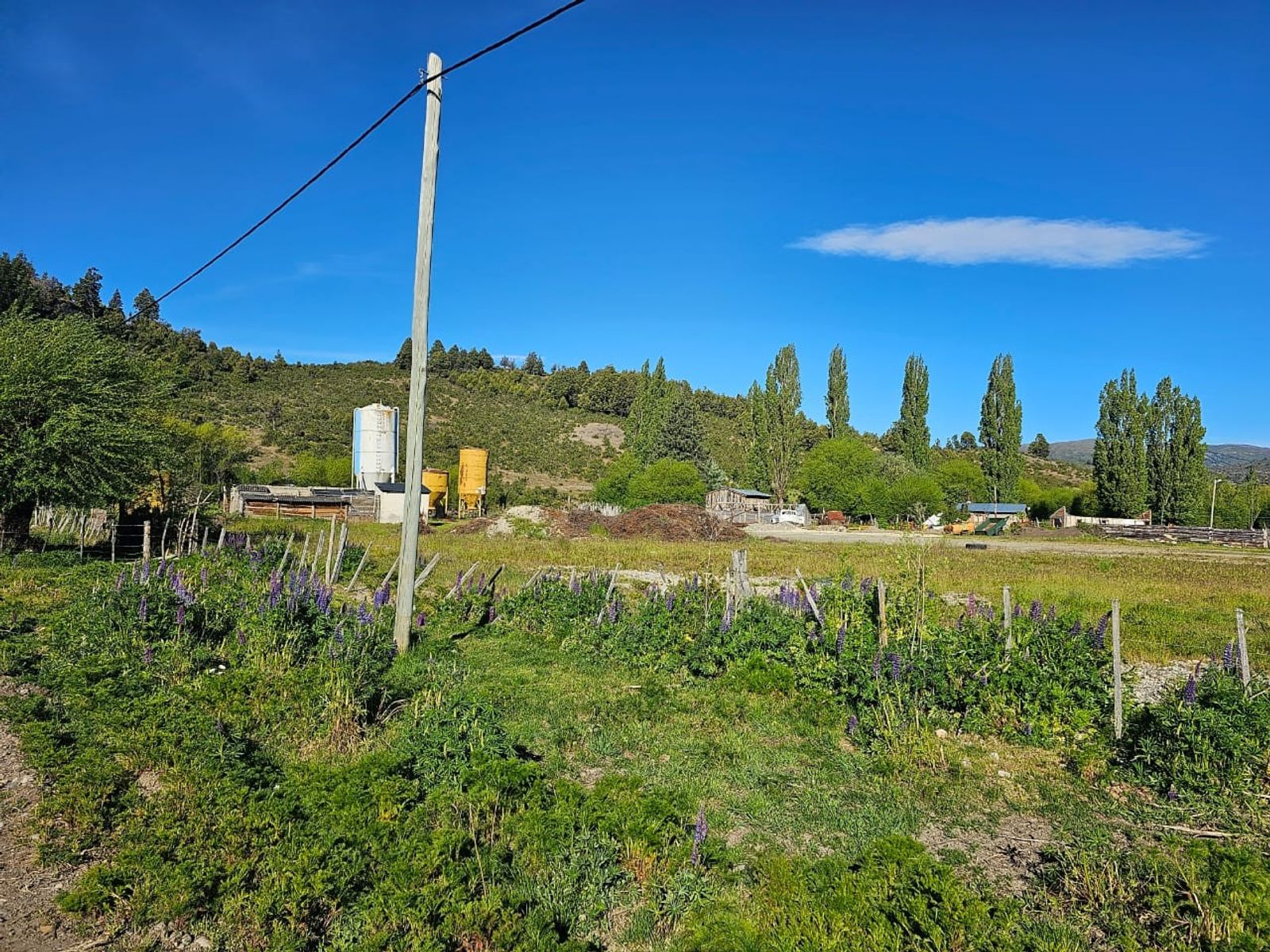 Río Blanco S/Nº · Cushamen — foto 4