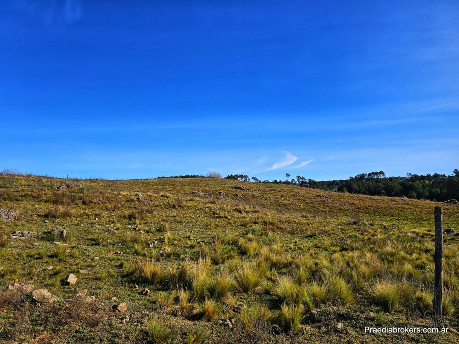 Villa Yacanto · Calamuchita — foto 12